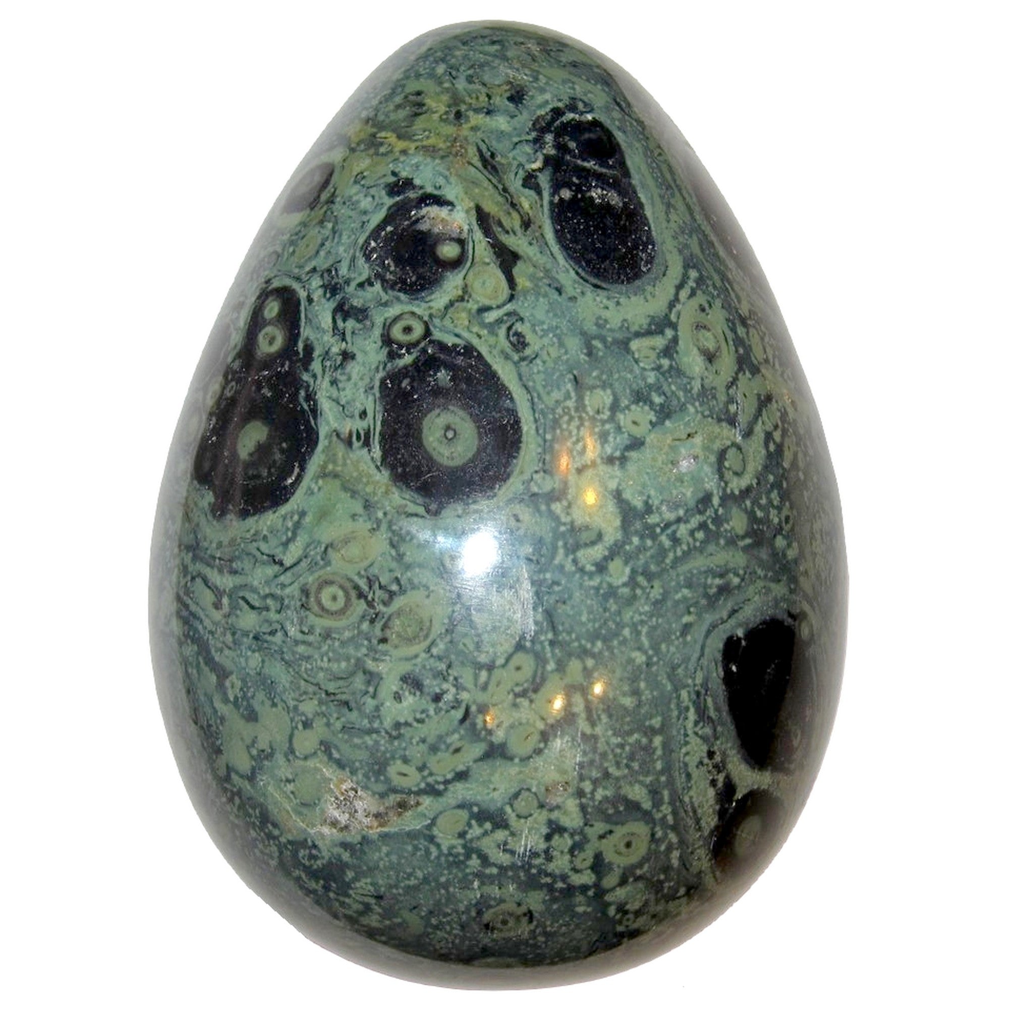 Kambaba Jasper Egg Green Baby Crocodile New Beginnings