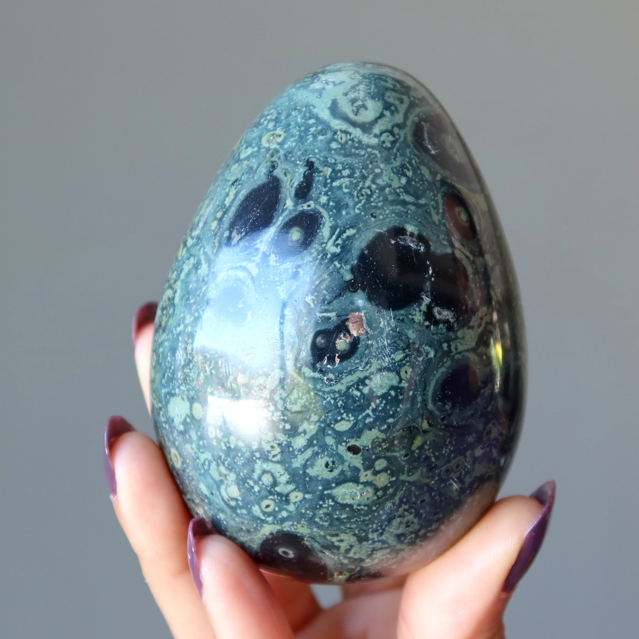 Kambaba Jasper Egg Green Baby Crocodile New Beginnings