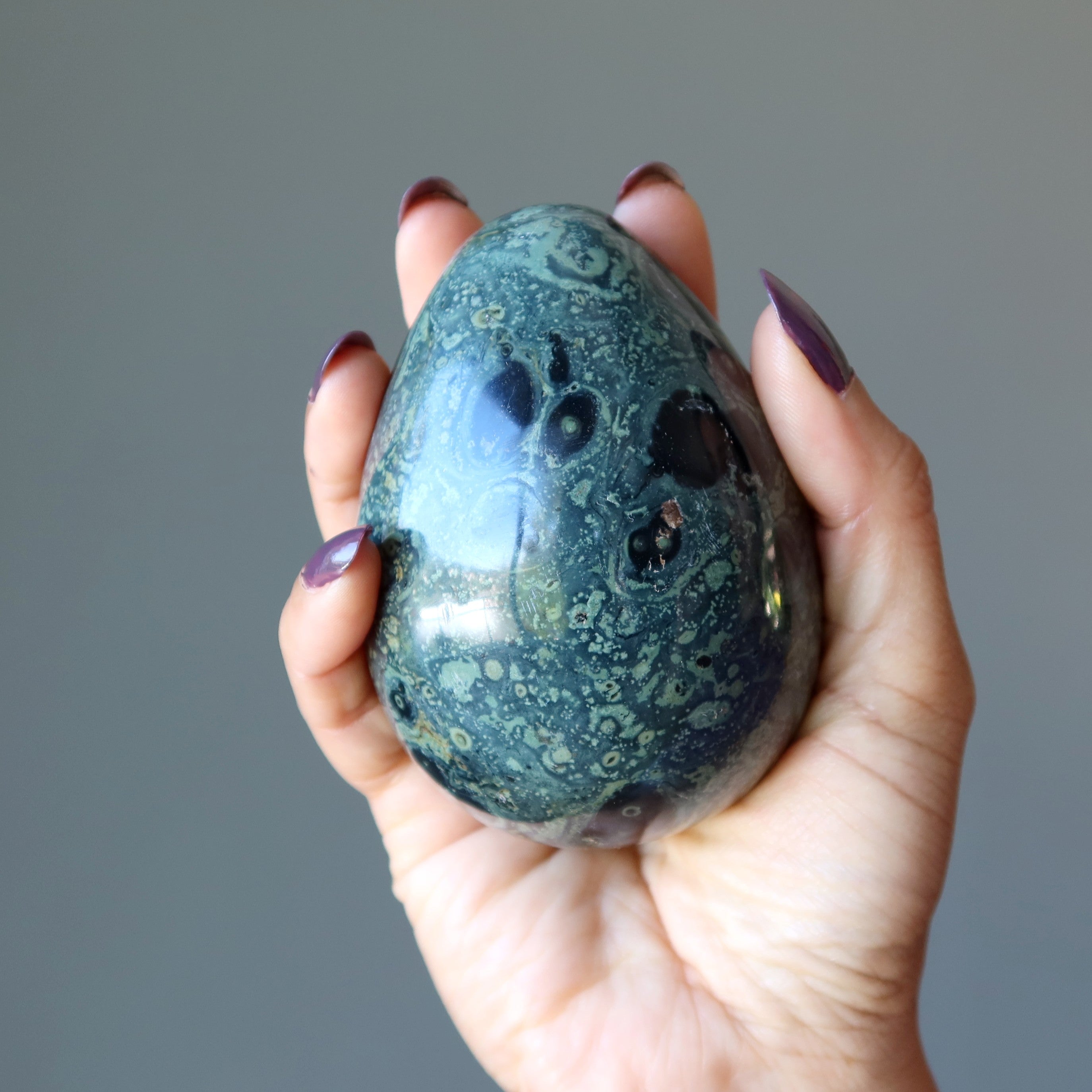 Kambaba Jasper Egg Green Baby Crocodile New Beginnings