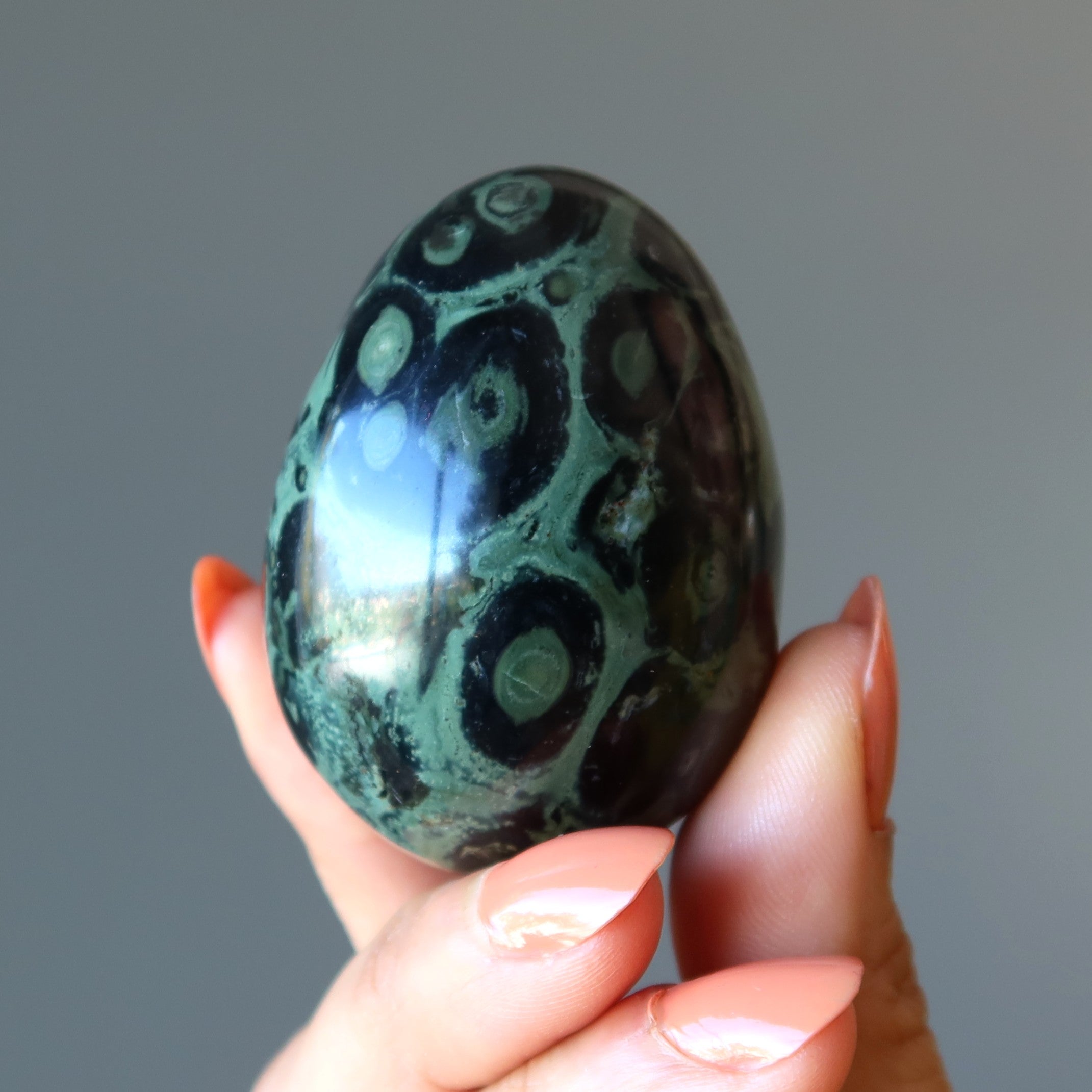 Kambaba Jasper Egg Green Baby Crocodile New Beginnings
