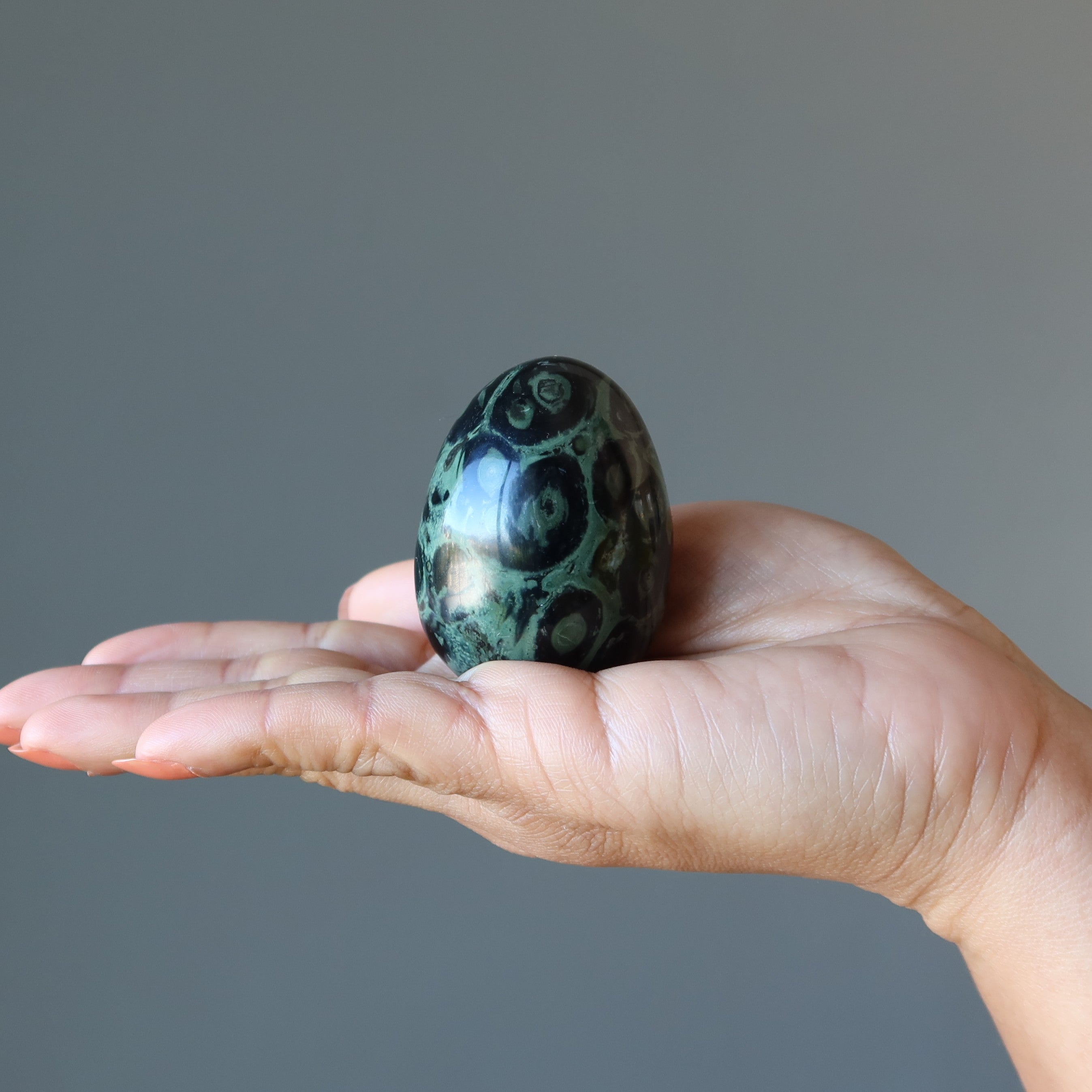 Kambaba Jasper Egg Green Baby Crocodile New Beginnings