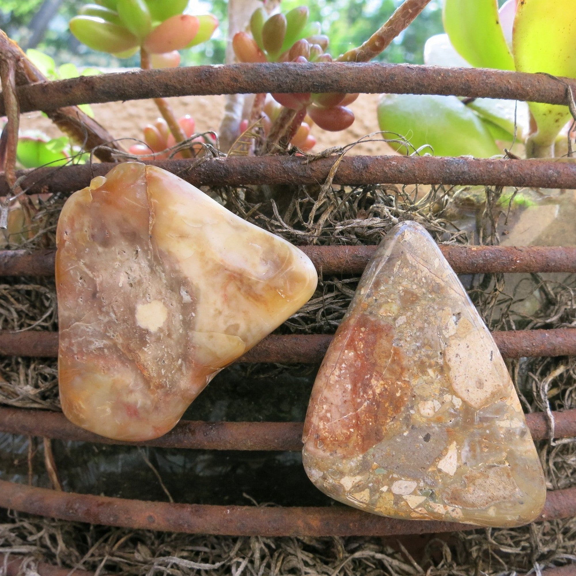 Paire d'aimants Jaspe Brun Nature dans ma maison Cristaux