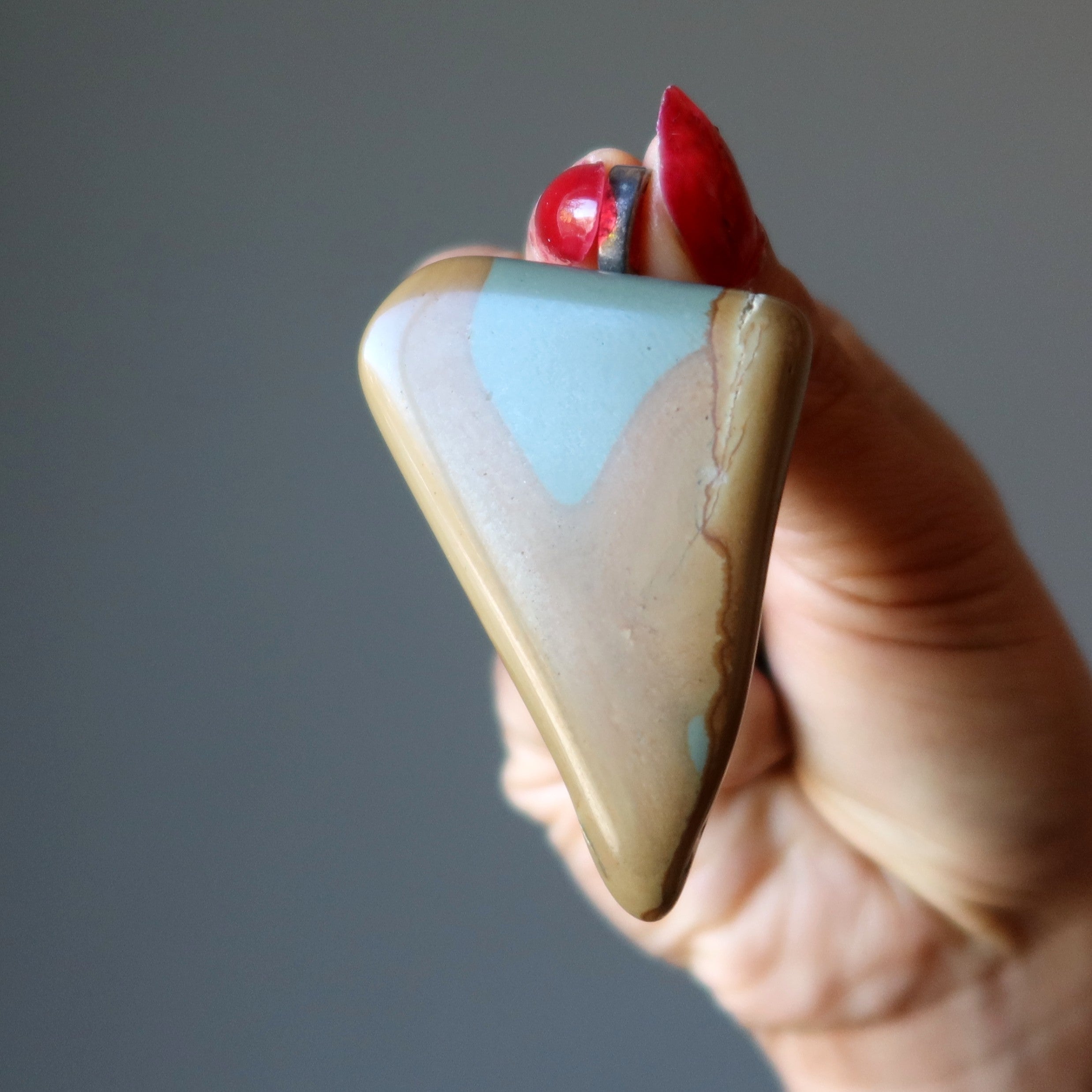 Polychrome Jasper Pendant I Wear Nature Crystal Gem Silver