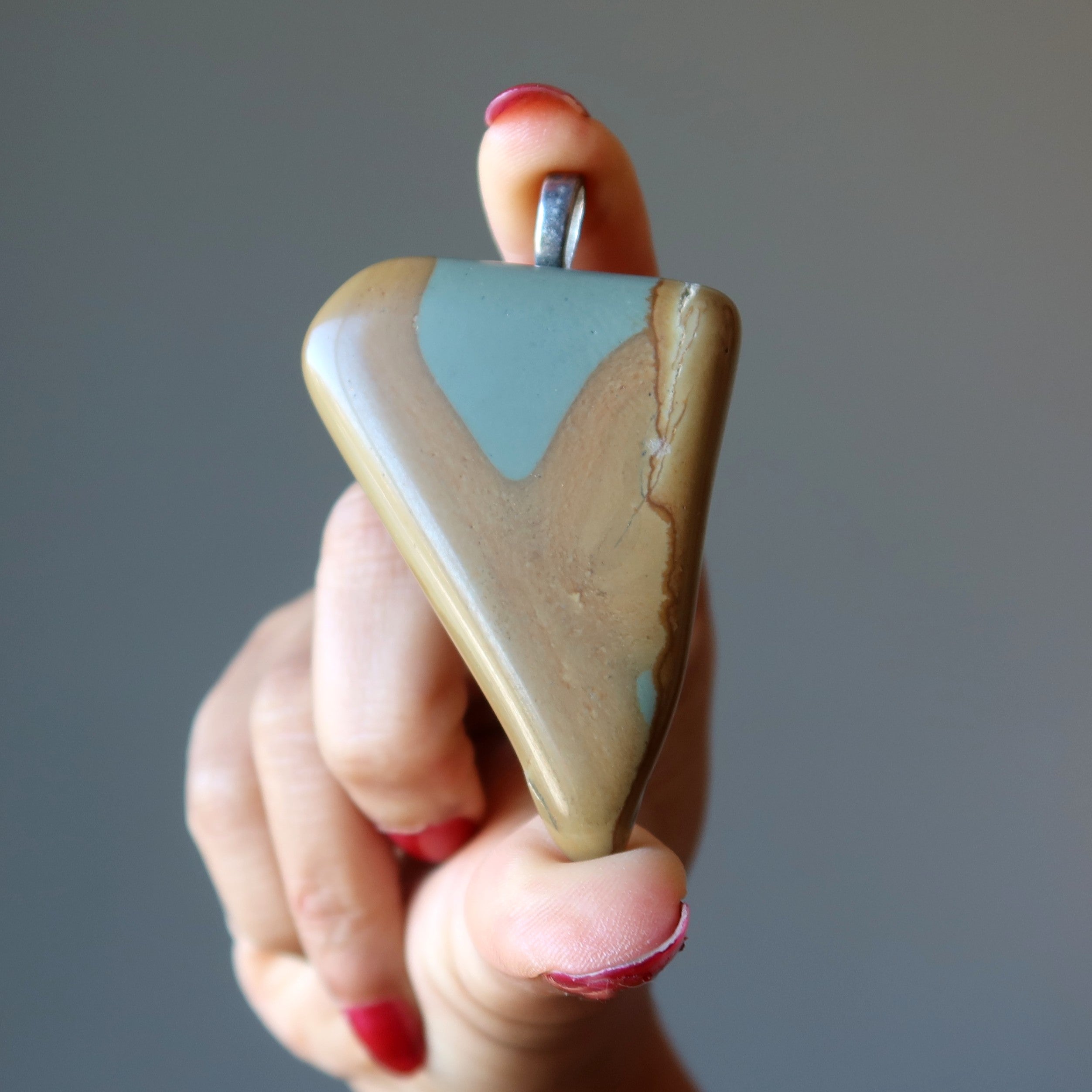 Polychrome Jasper Pendant I Wear Nature Crystal Gem Silver