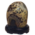 Dendritic Jasper Display Stone Infinite Earth