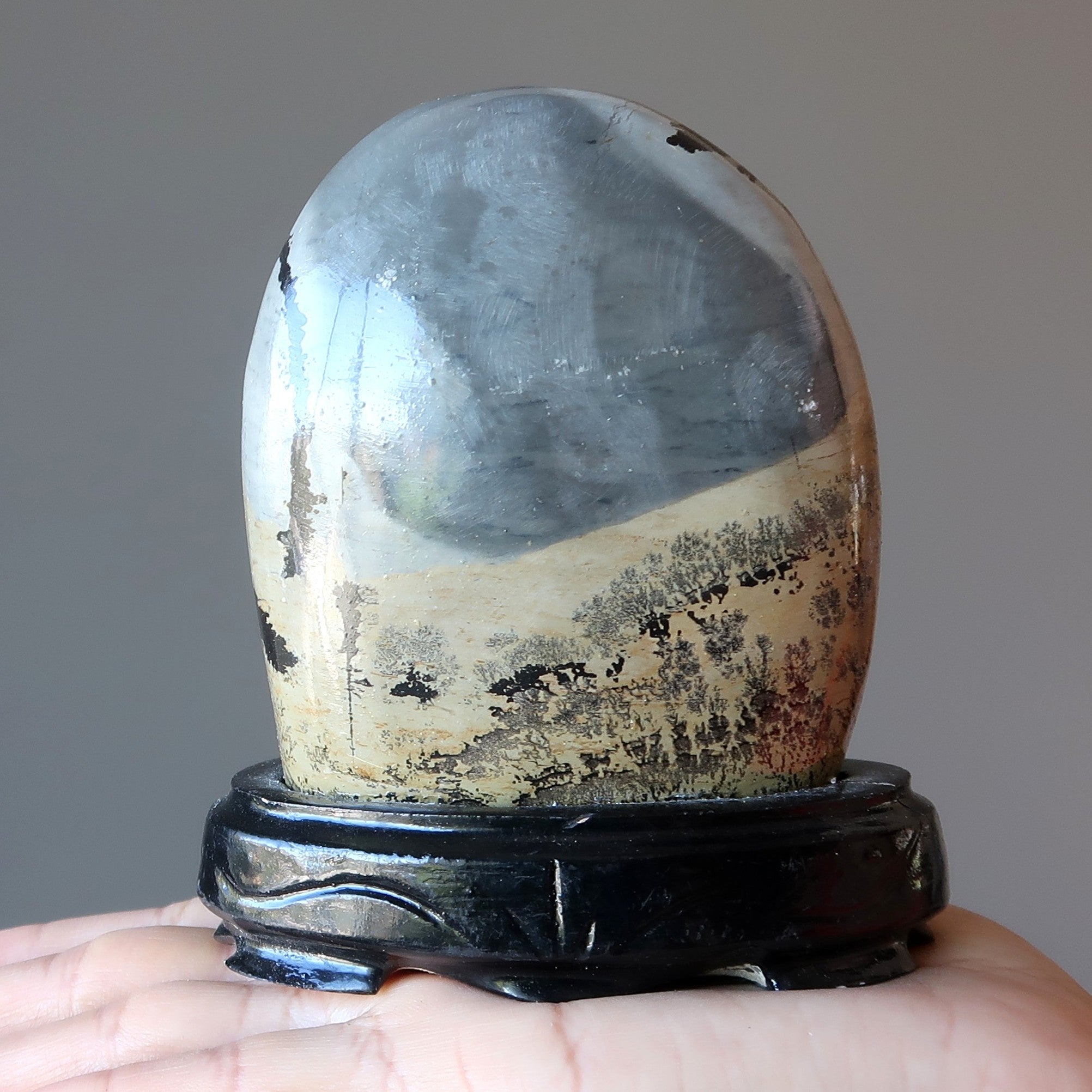 Dendritic Jasper Display Stone Infinite Earth