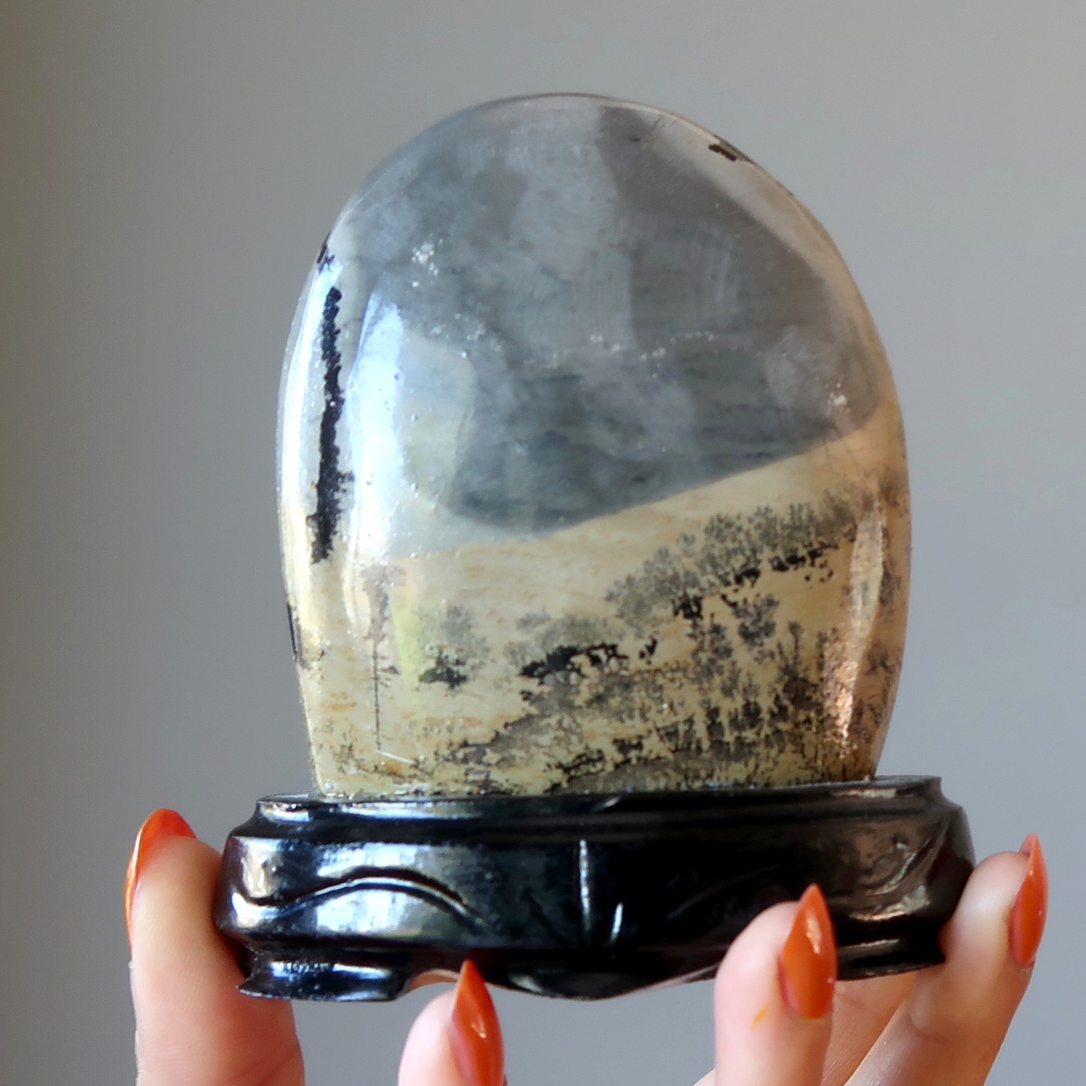 Dendritic Jasper Display Stone Infinite Earth