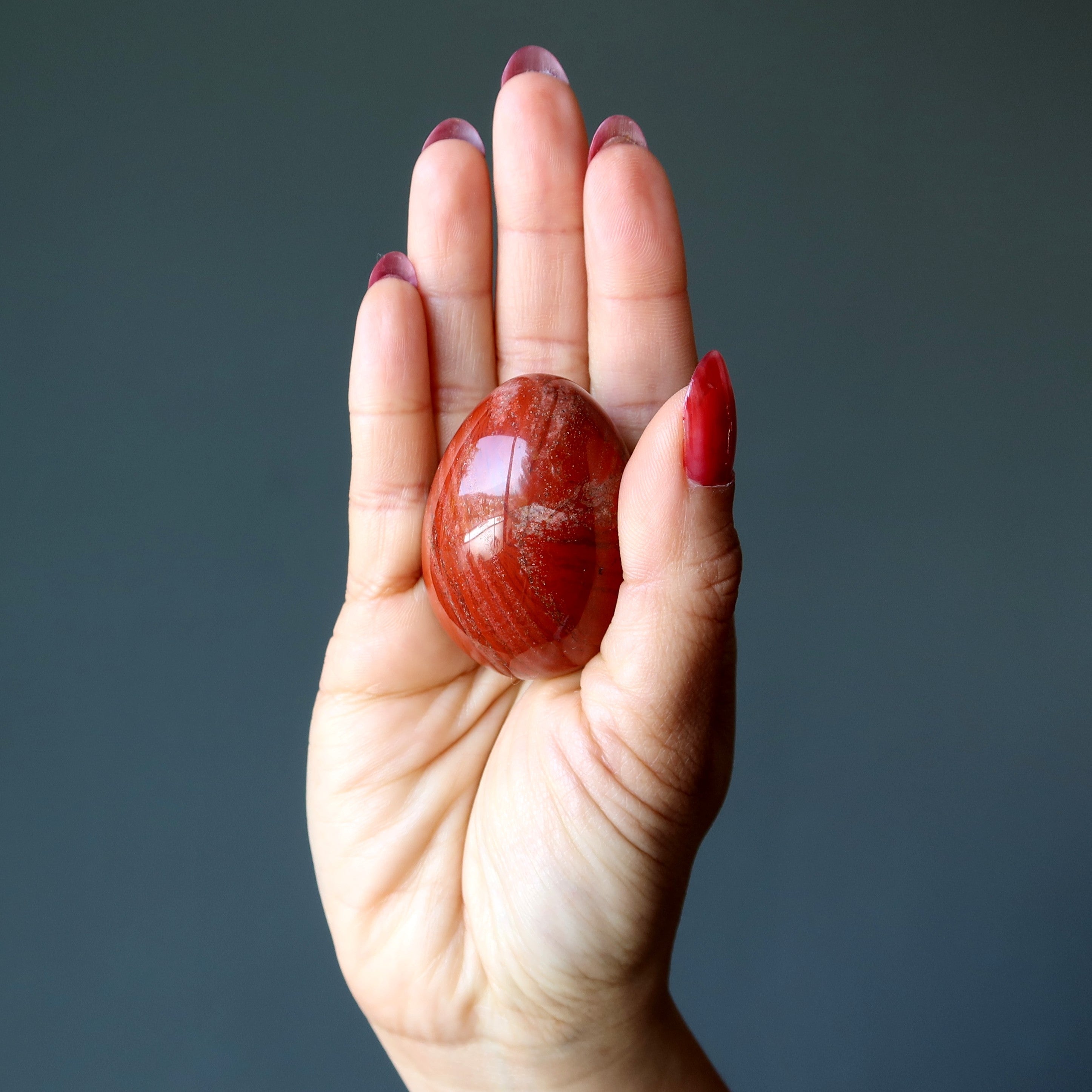 Red Jasper Egg Bright Ideas and Visions Brewing Crystal