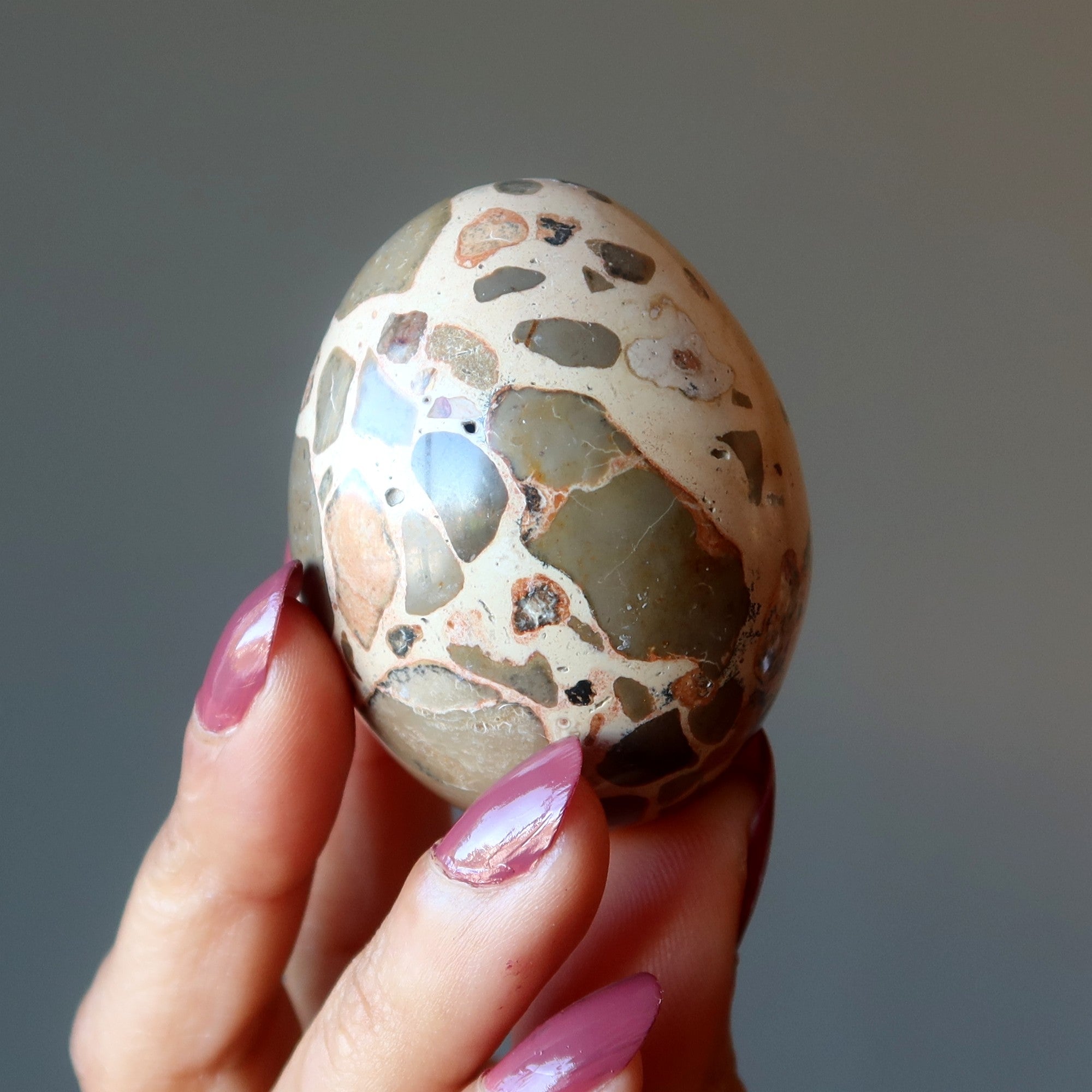 Œuf de léopardite marron Safari Jasper, cristal de la sagesse de la Terre sauvage