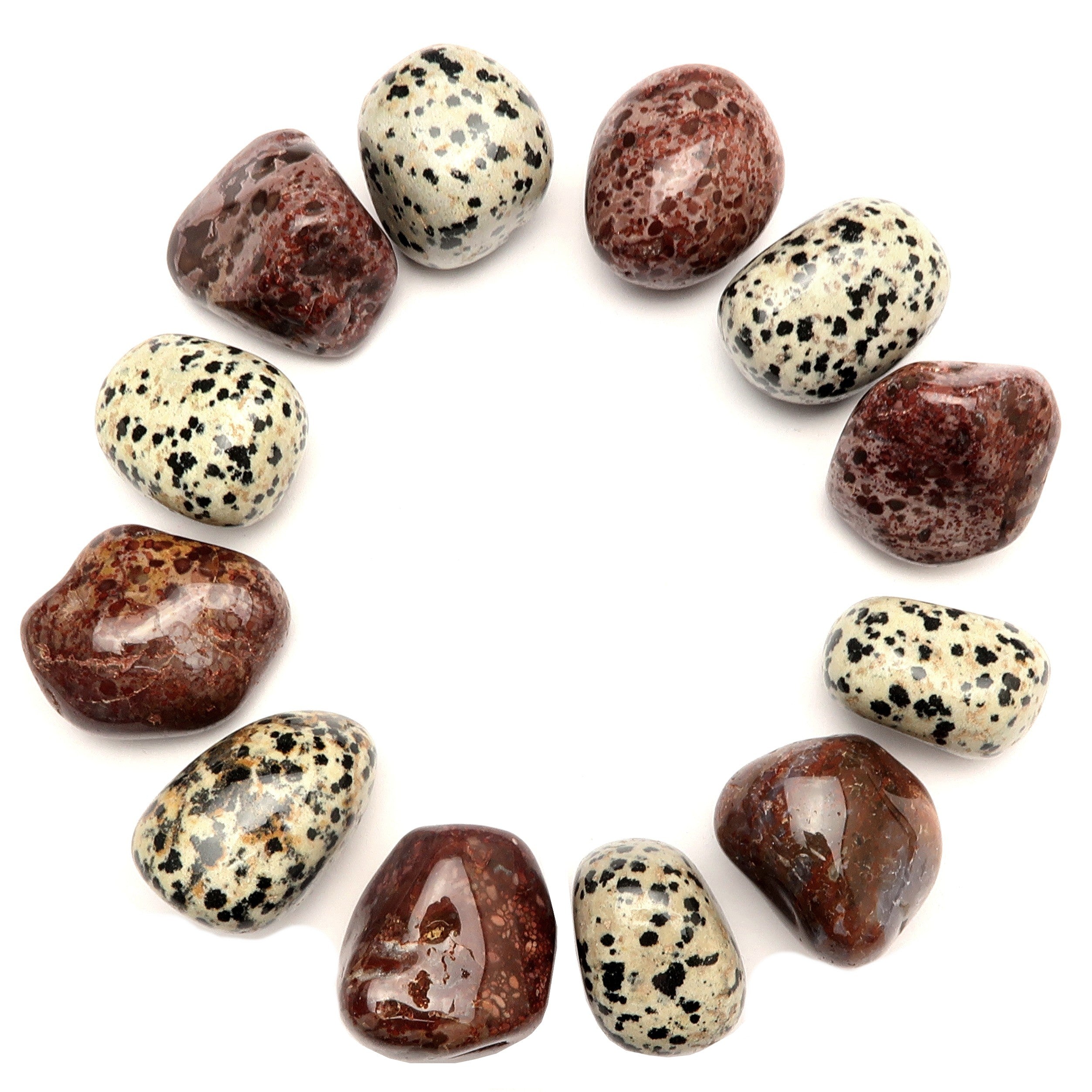 Ensemble de pierres roulées en jaspe dalmatien et léopard