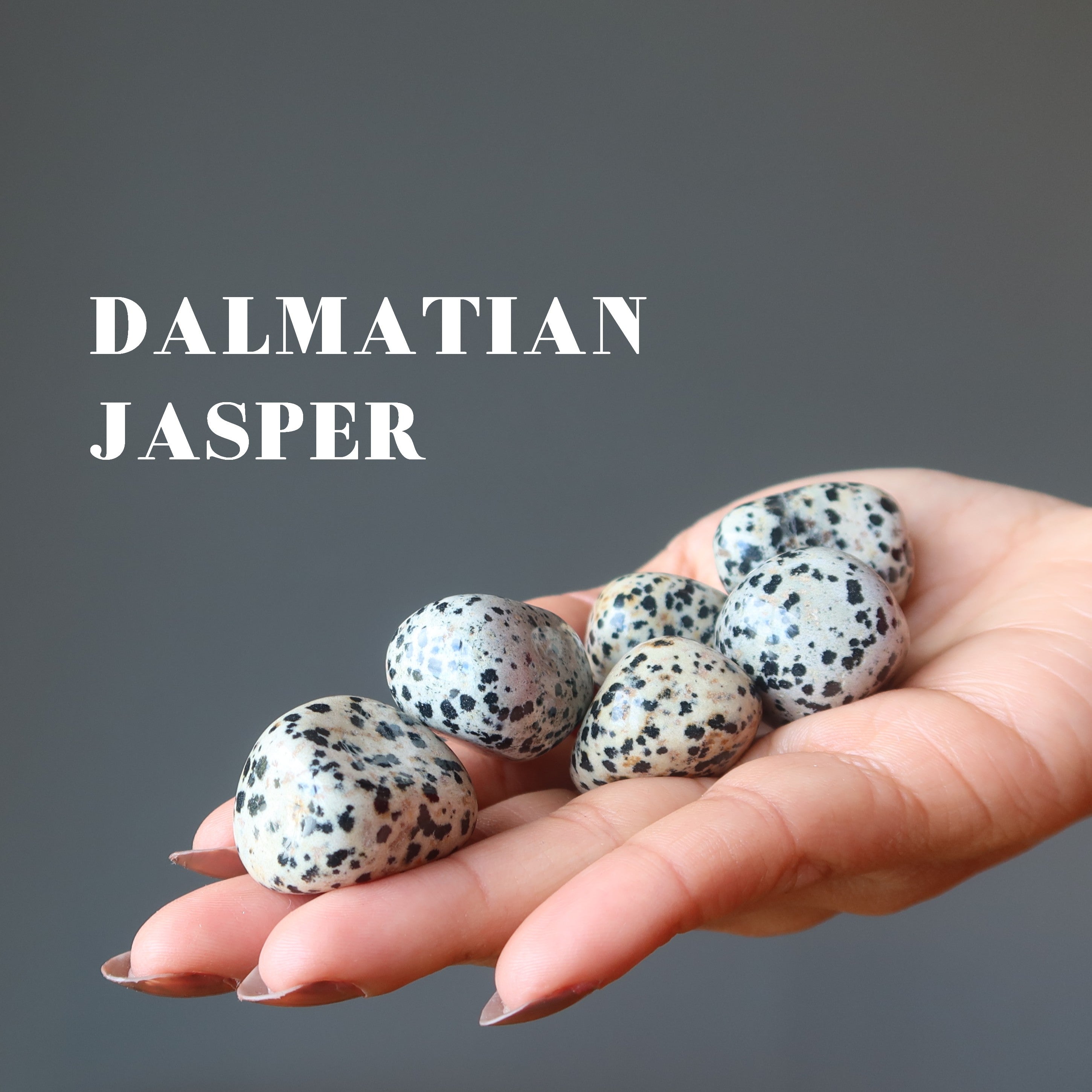 Ensemble de pierres roulées en jaspe dalmatien et léopard