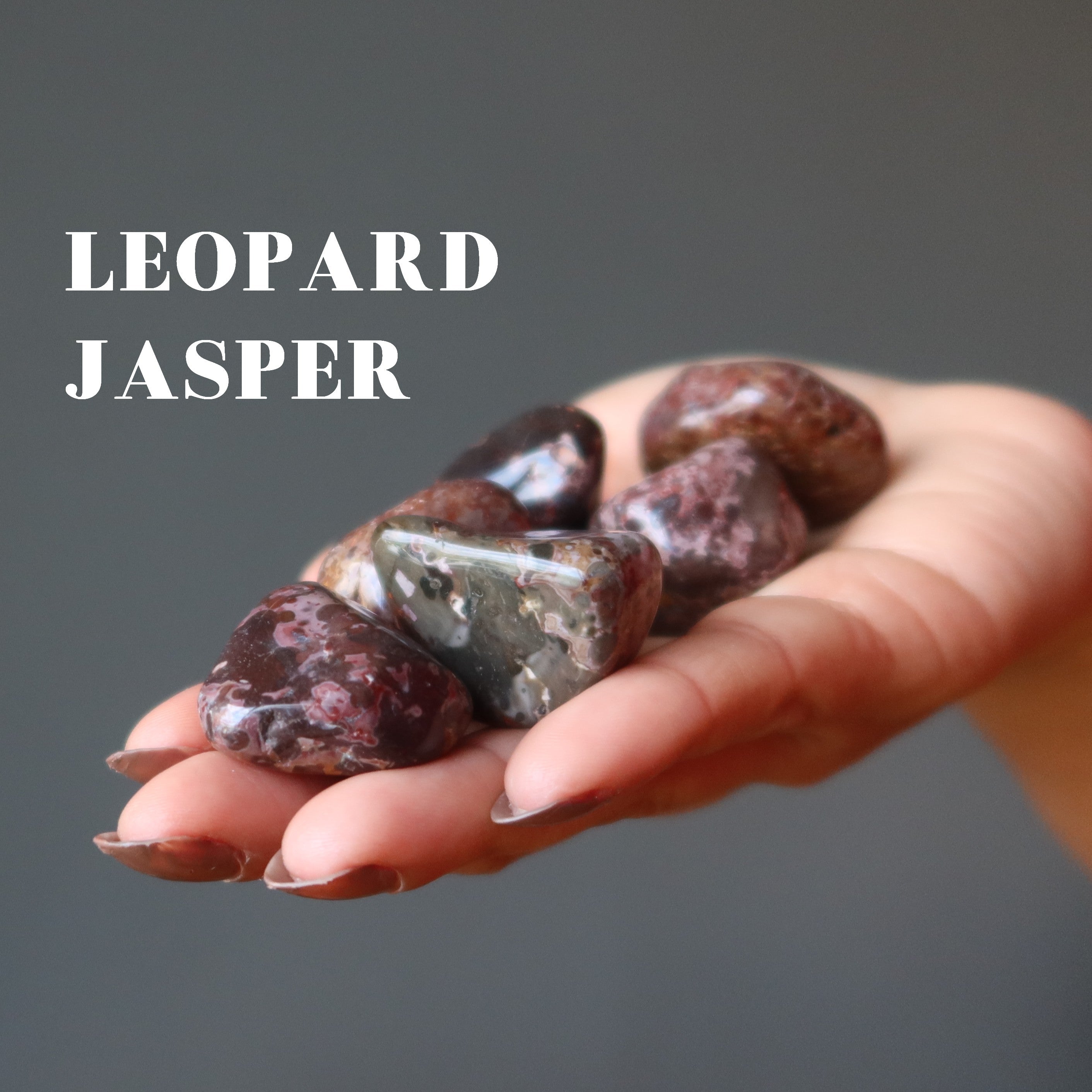 Ensemble de pierres roulées en jaspe dalmatien et léopard