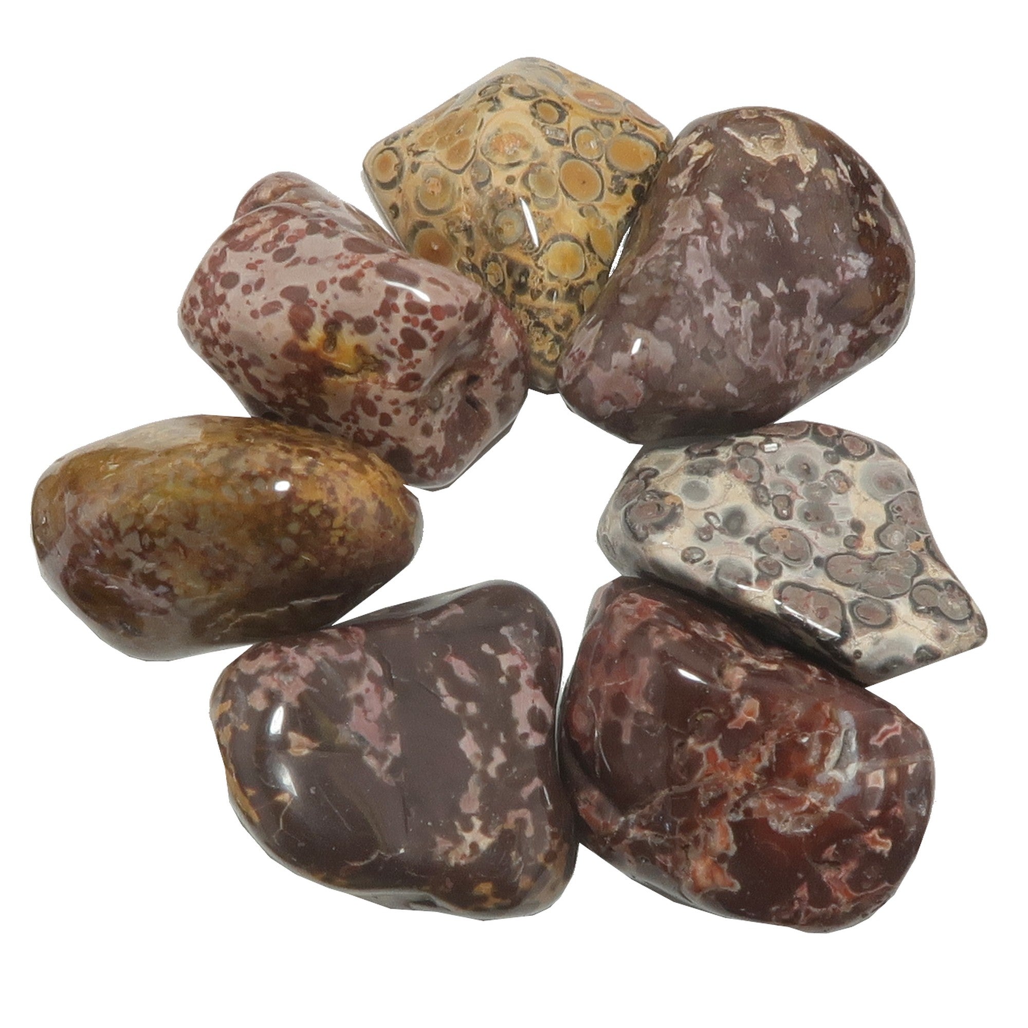 Leopard Jasper Tumbled Stone Colorful Courage