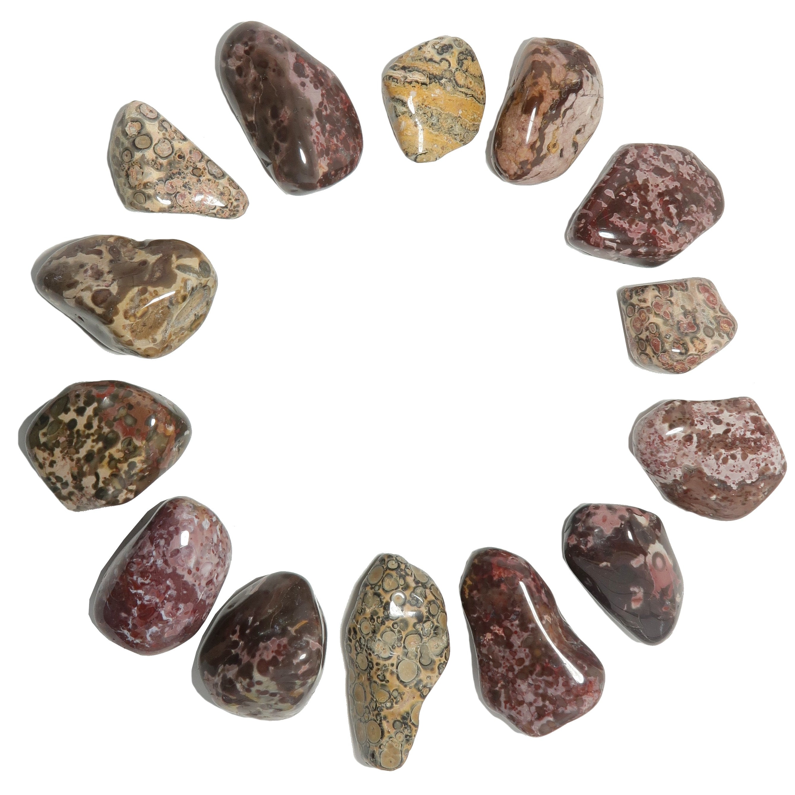 Leopard Jasper Tumbled Stone Colorful Courage