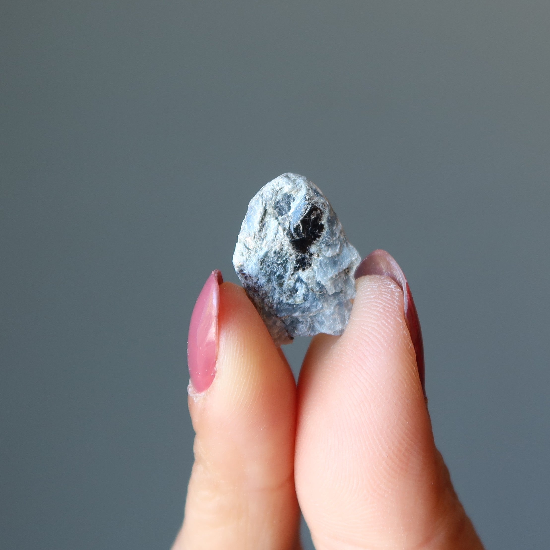 Kyanite Raw Crystal Set Vishnu's Melodic Blue Flutes