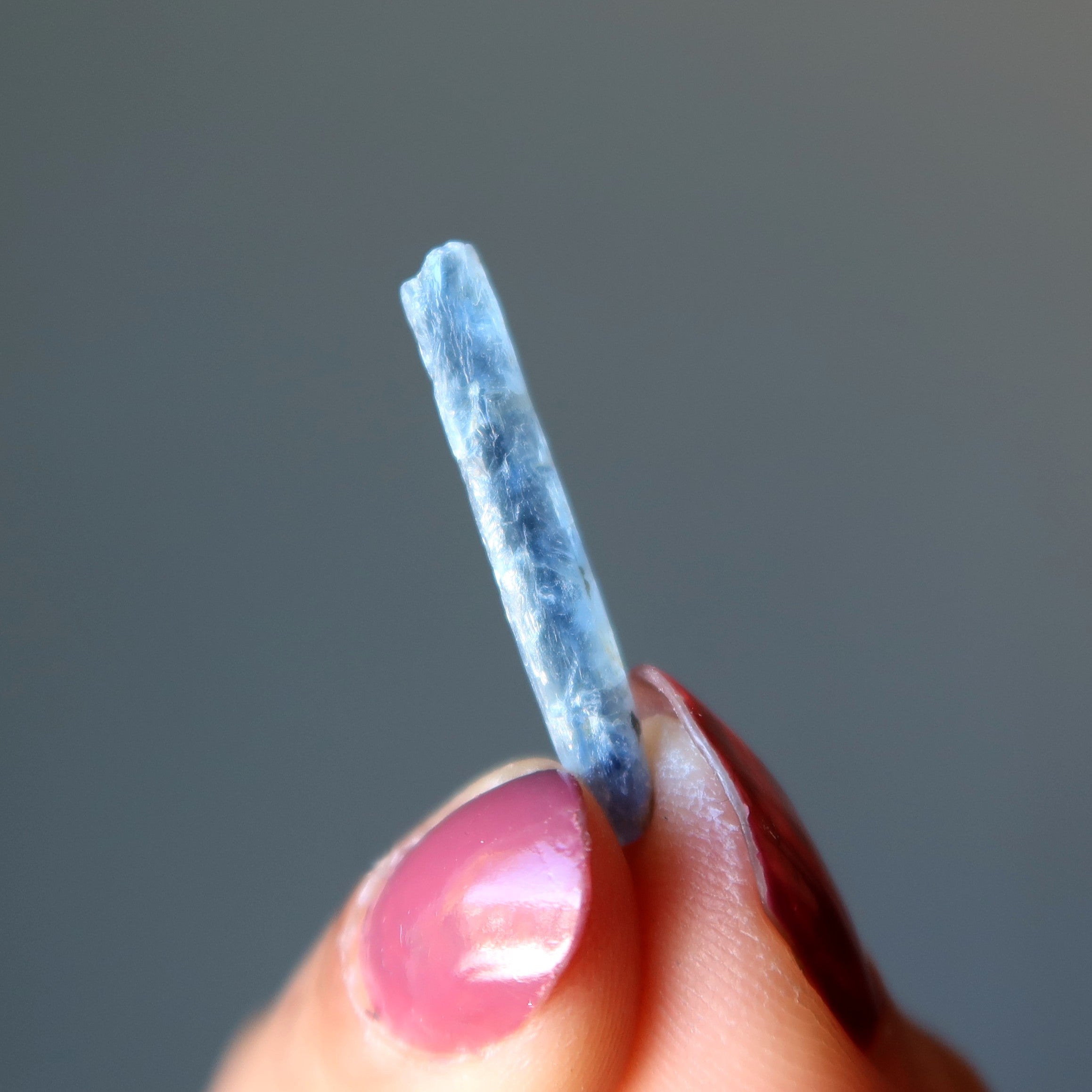 Kyanite Raw Crystal Set Vishnu's Melodic Blue Flutes