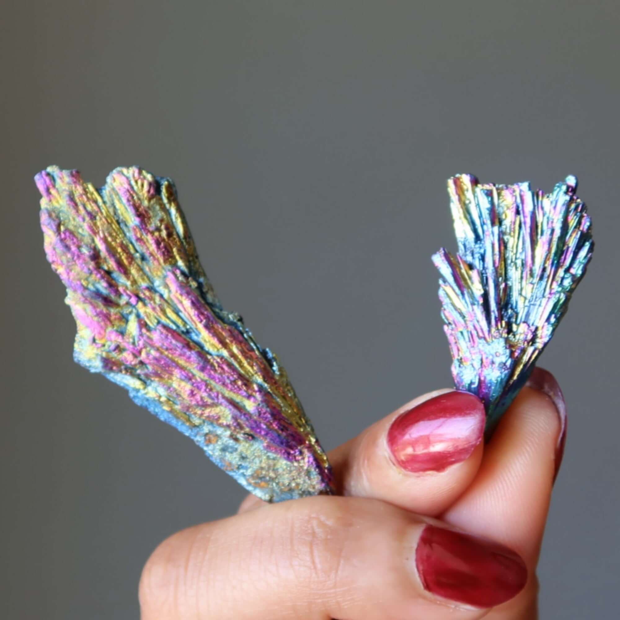 Kyanite Brut Cristal Paon Arc-en-ciel Titane Éclatant