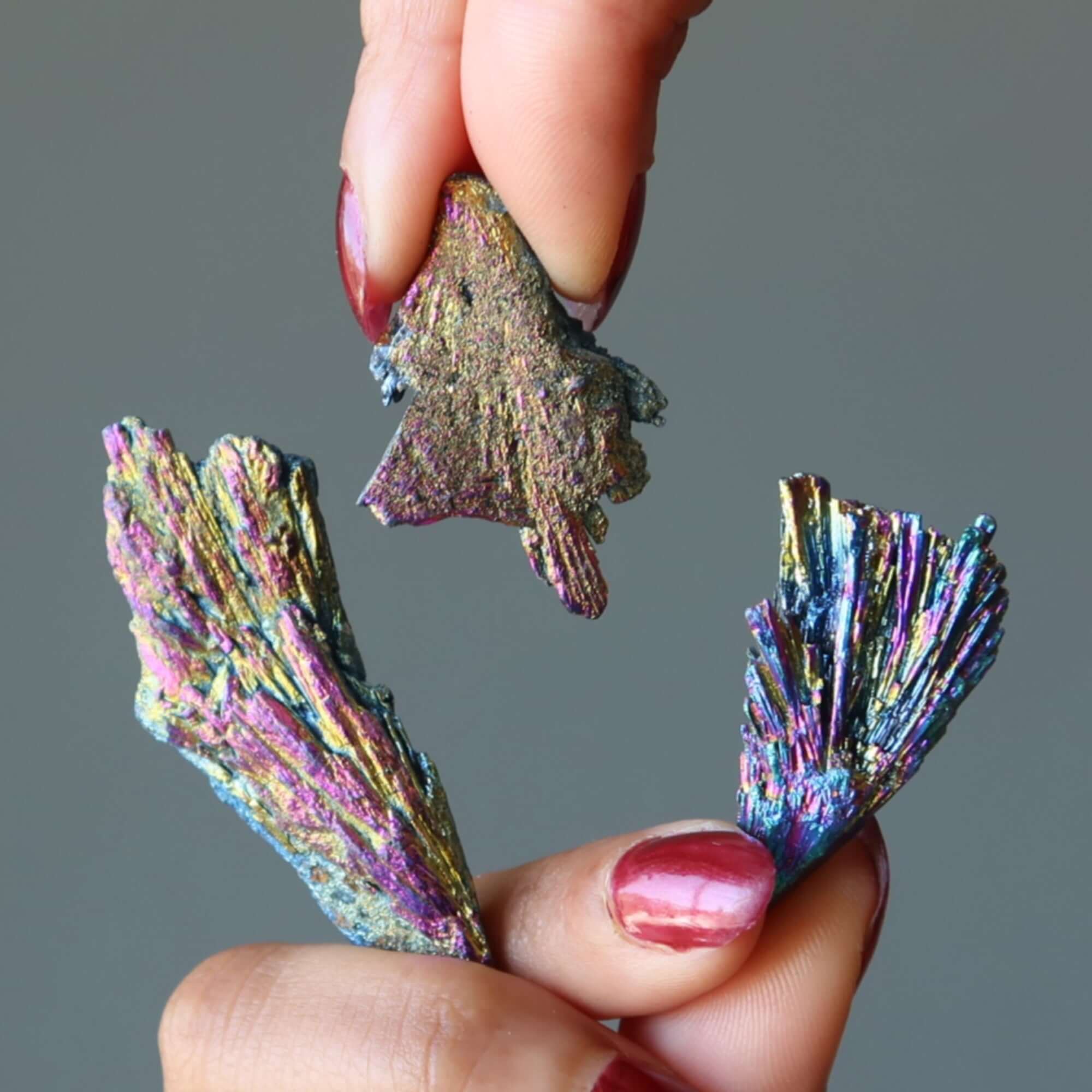 Kyanite Brut Cristal Paon Arc-en-ciel Titane Éclatant