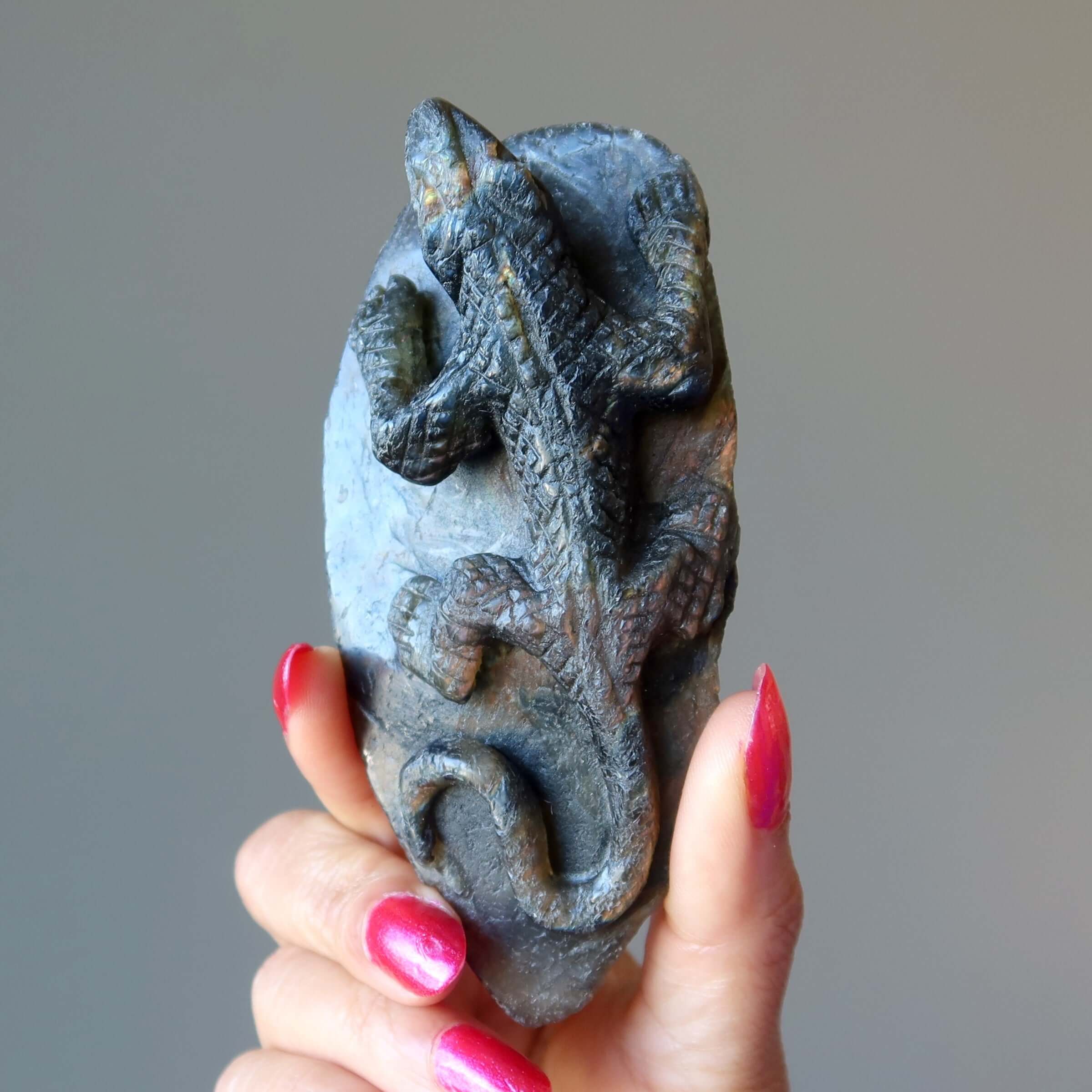 Labradorite Lizard Protective Animal Rainbow Stone