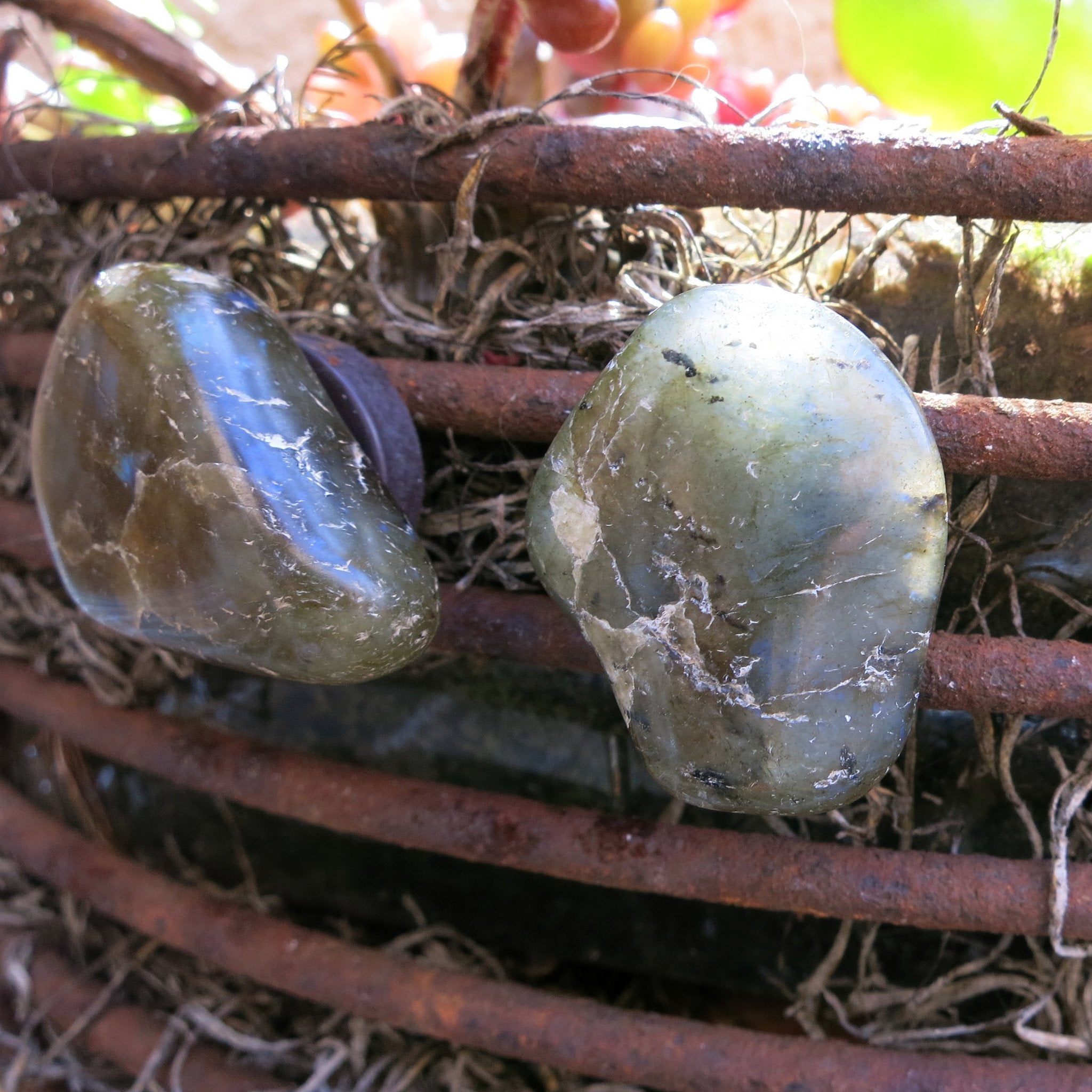 Ensemble d'aimants en labradorite, paire de pierres roulées aux reflets arc-en-ciel