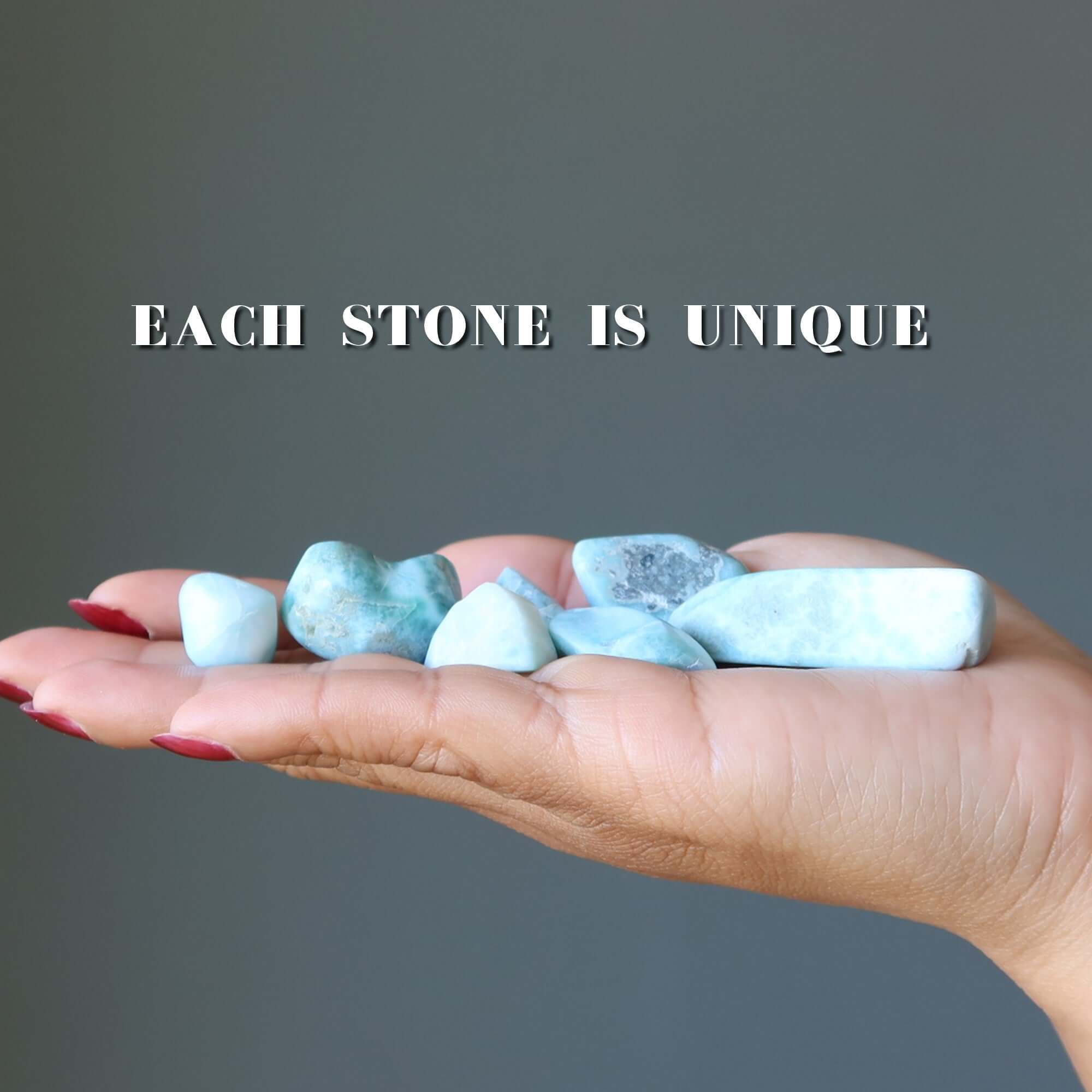 Larimar Tumbled Stone Dolphin Crystal