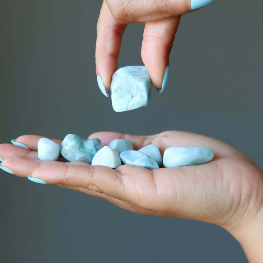 Larimar Tumbled Stone Dolphin Crystal