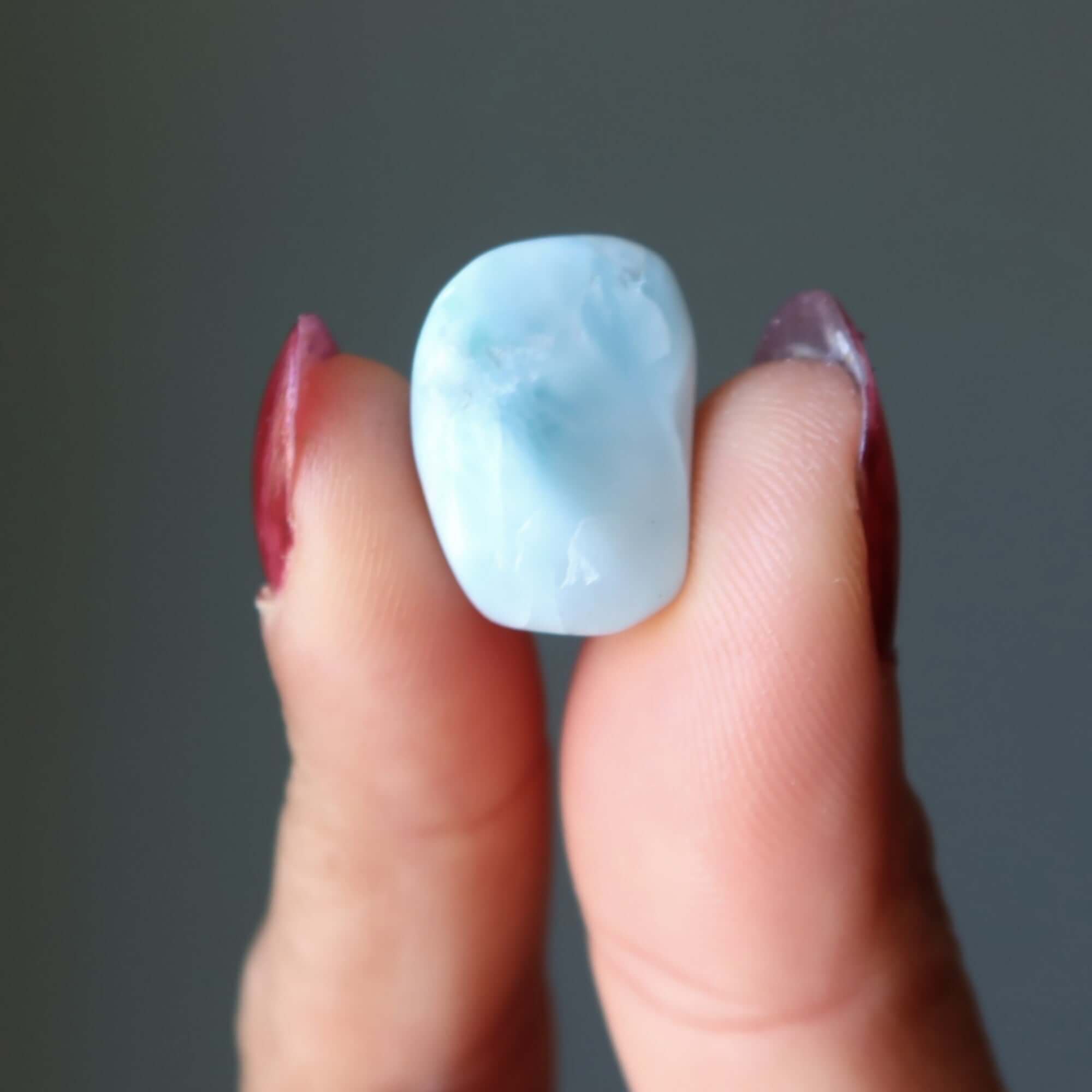 Larimar Tumbled Stone Dolphin Crystal