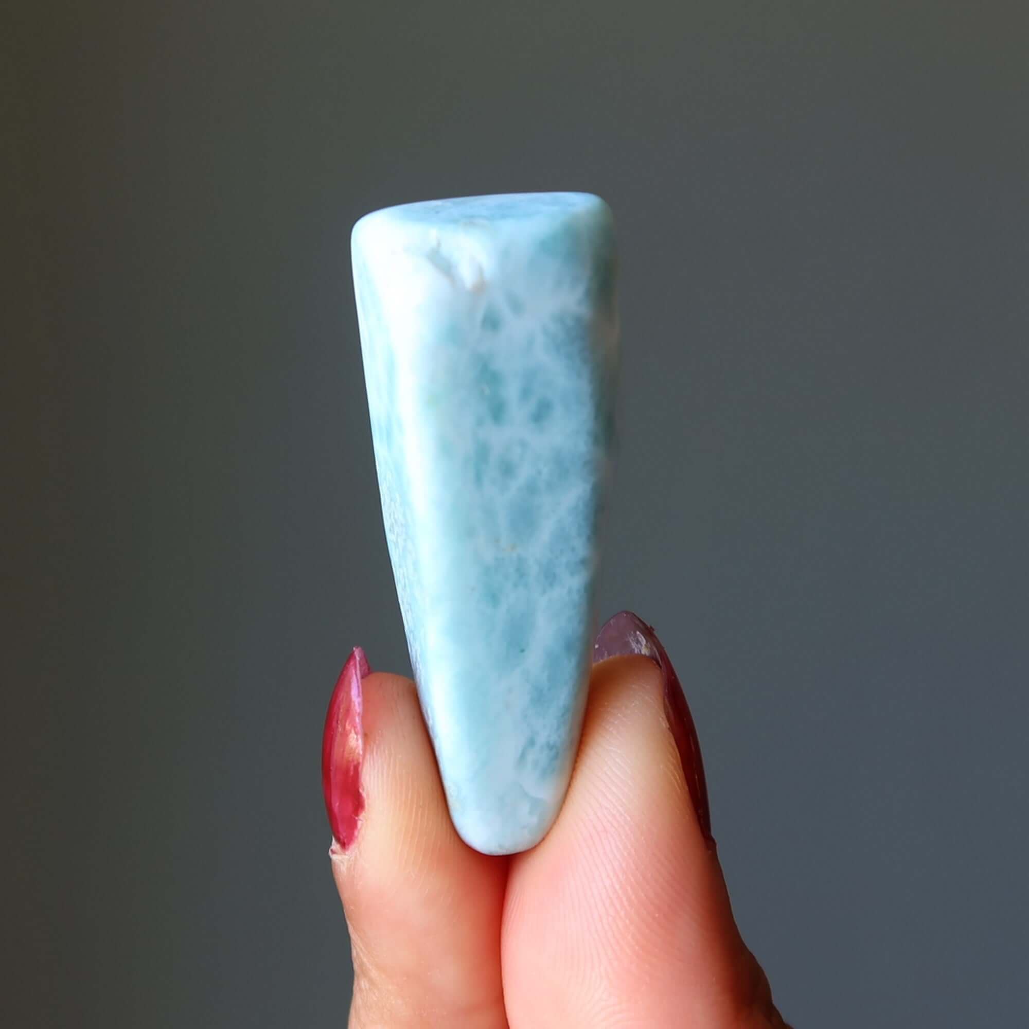 Larimar Tumbled Stone Dolphin Crystal