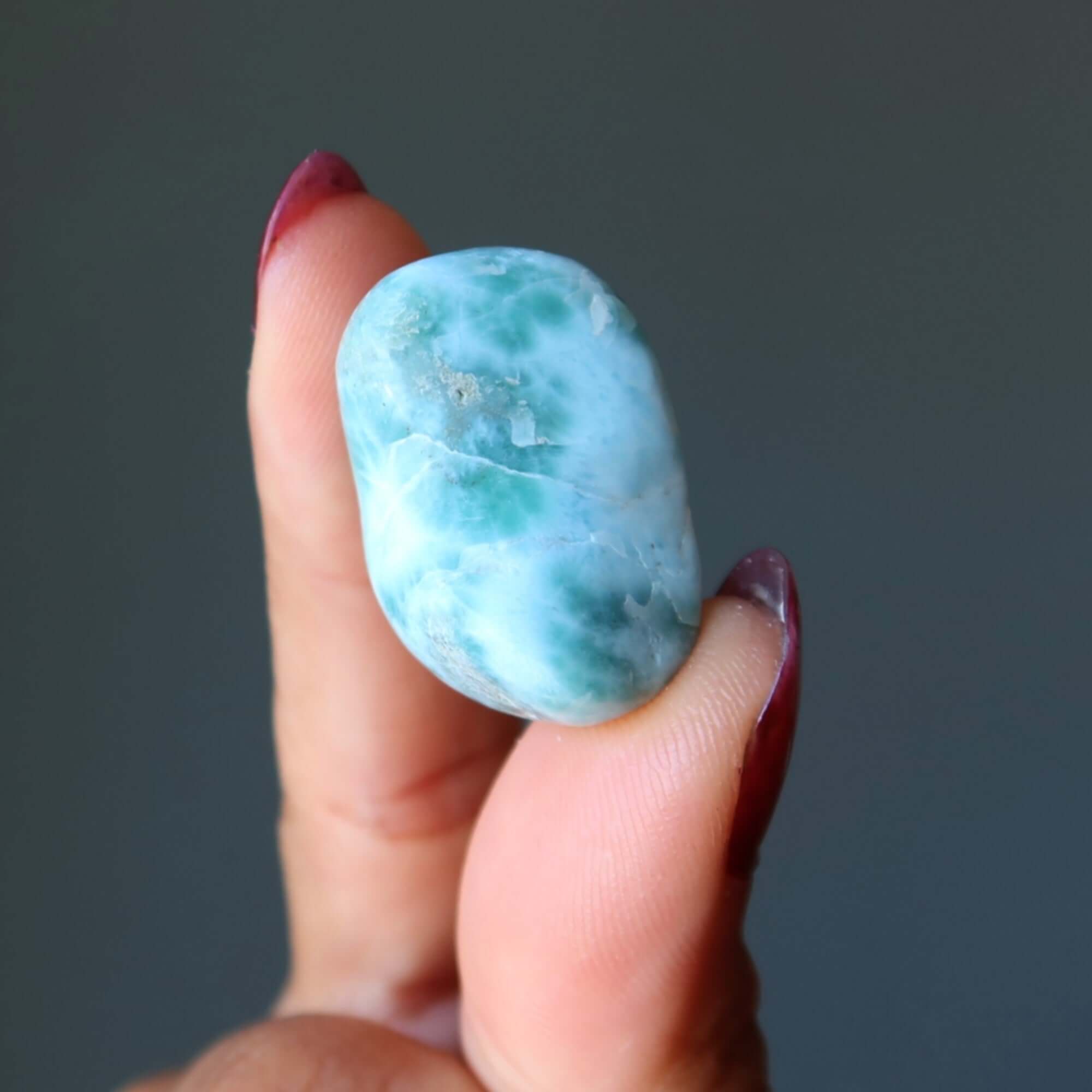 Larimar Tumbled Stone Dolphin Crystal
