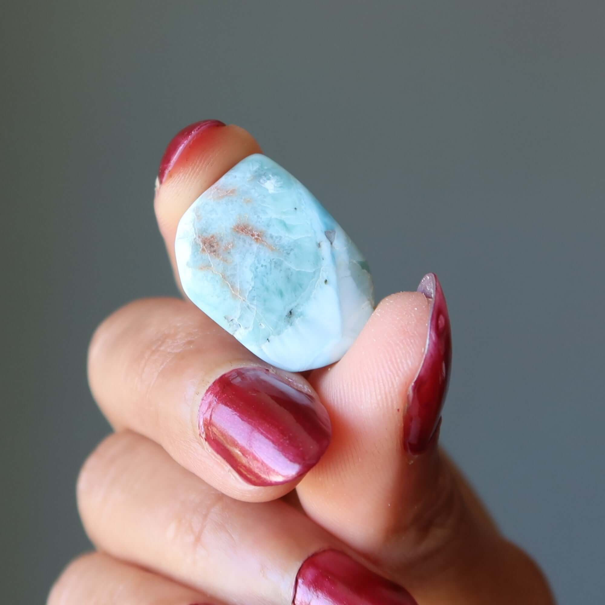 Larimar Tumbled Stone Dolphin Crystal