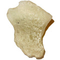 Libyan Desert Glass Yellow Tektite Pleasantly Plump
