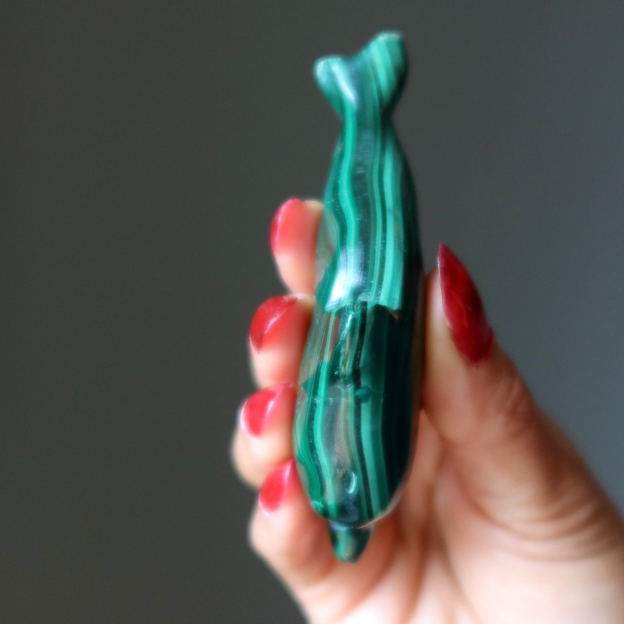 Malachite Dolphin Wonderful Wounded Warrior