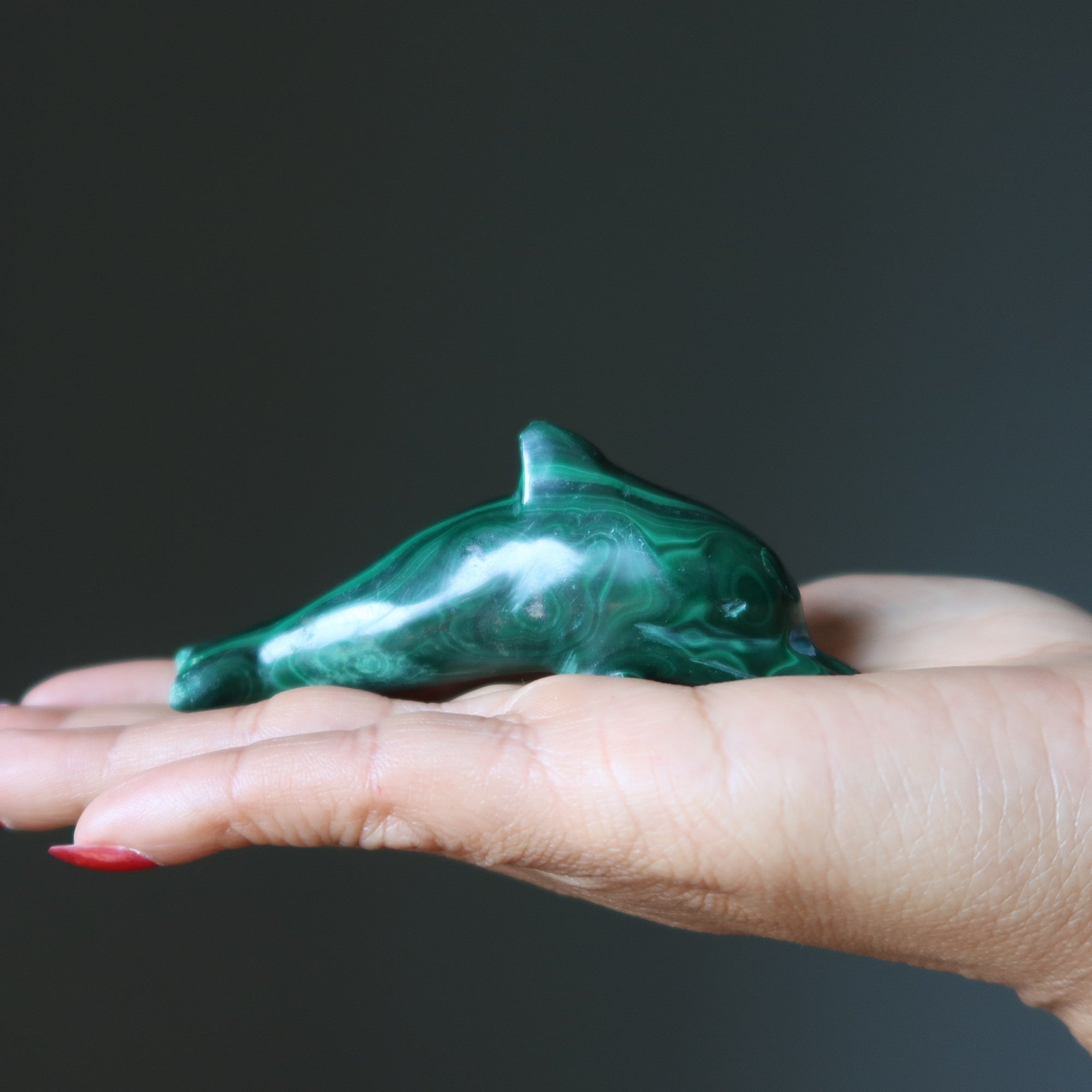 Malachite Dolphin Wonderful Wounded Warrior