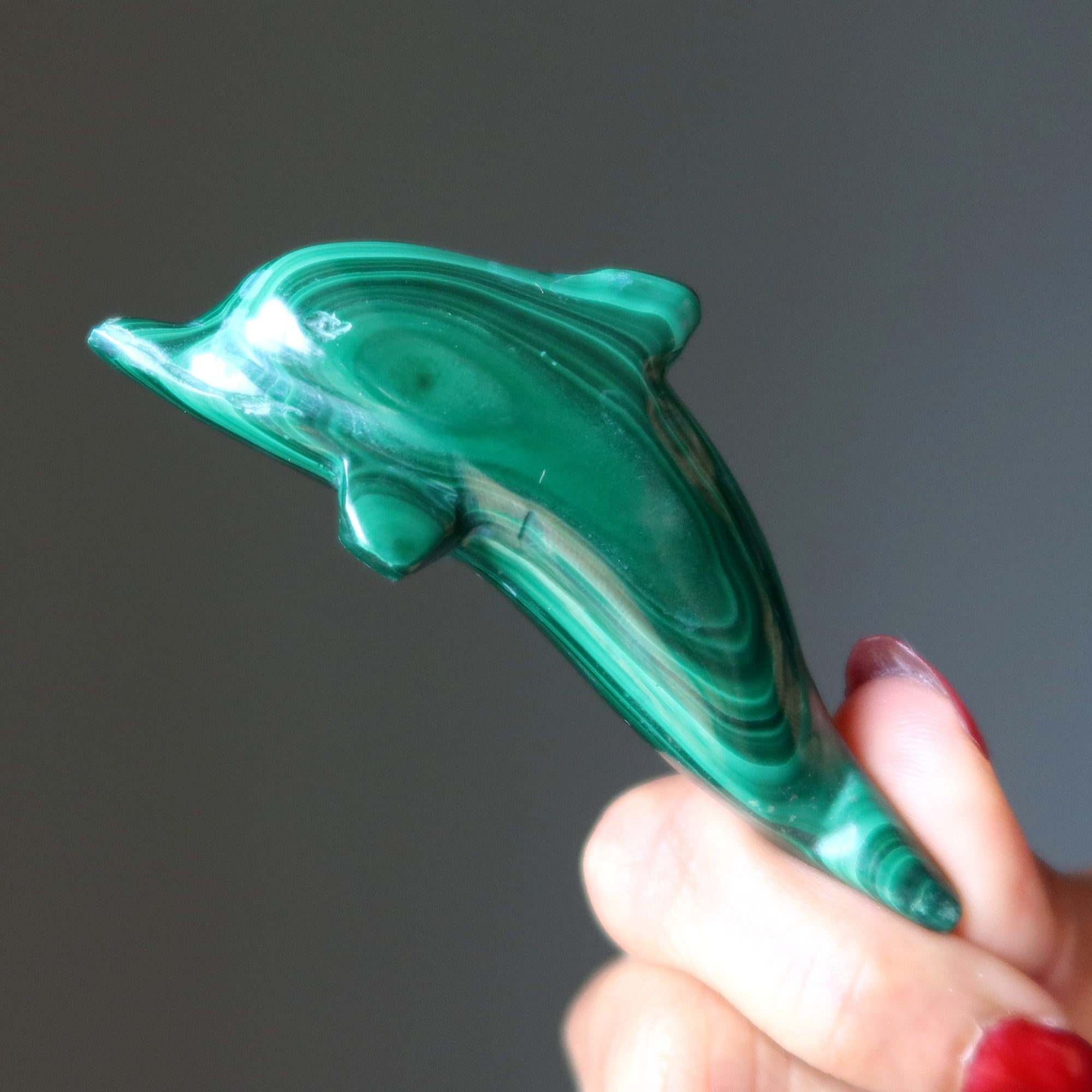 Malachite Dolphin Wonderful Wounded Warrior