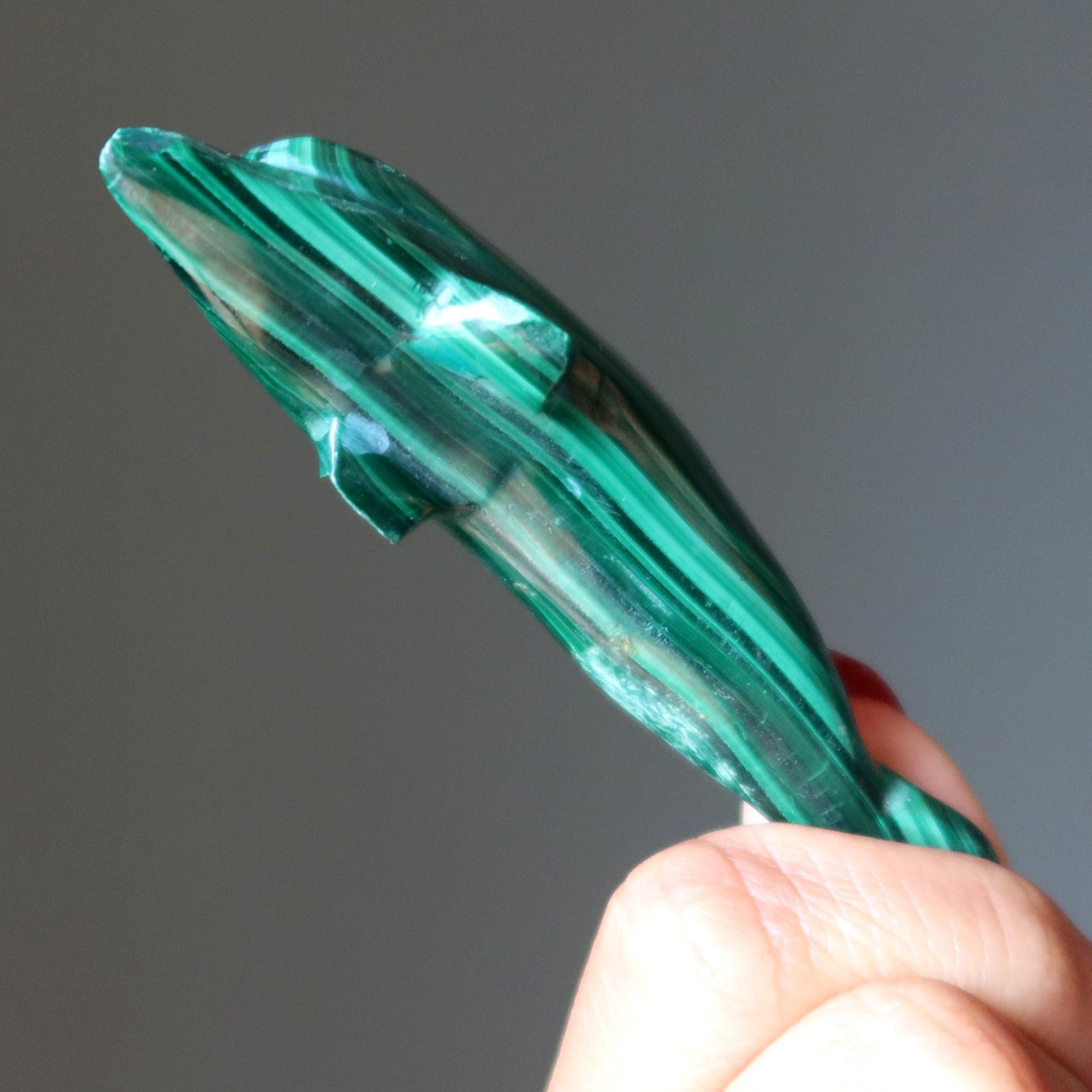 Malachite Dolphin Wonderful Wounded Warrior