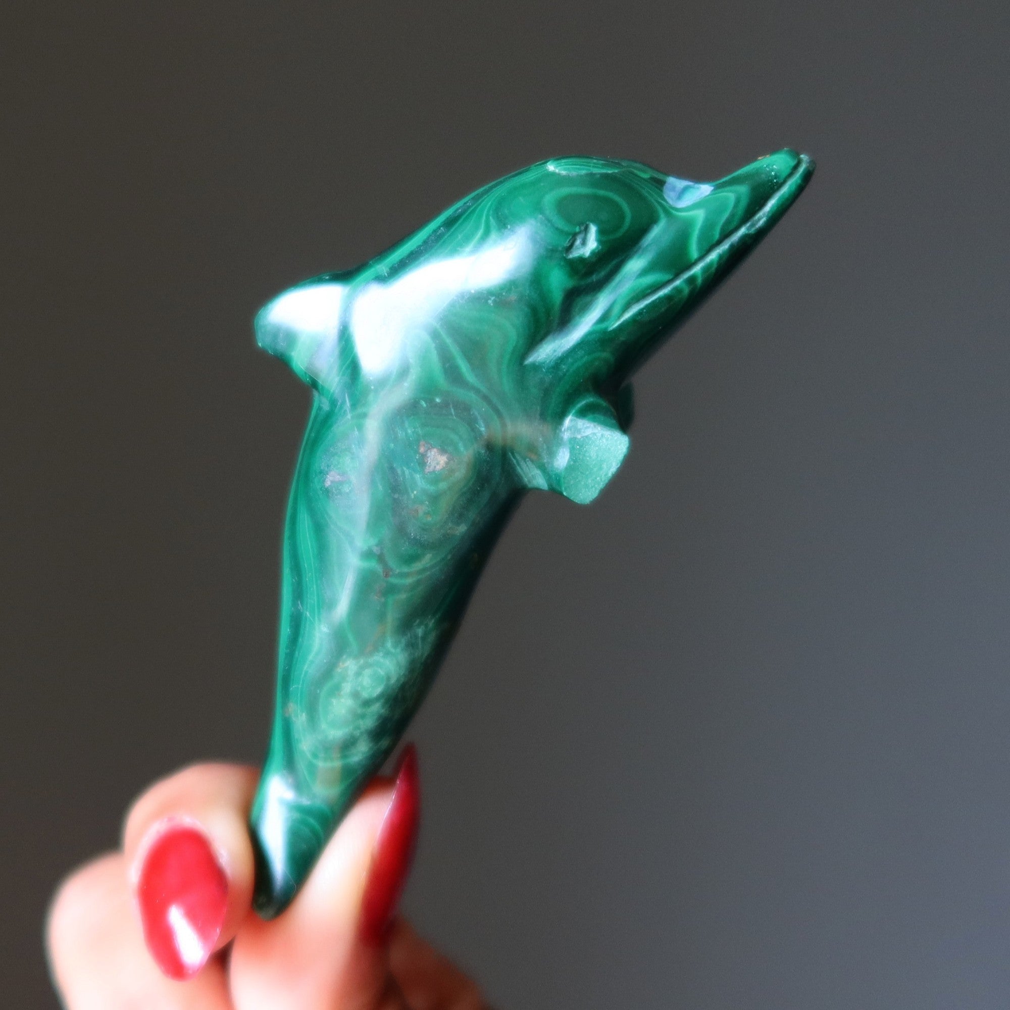 Malachite Dolphin Wonderful Wounded Warrior