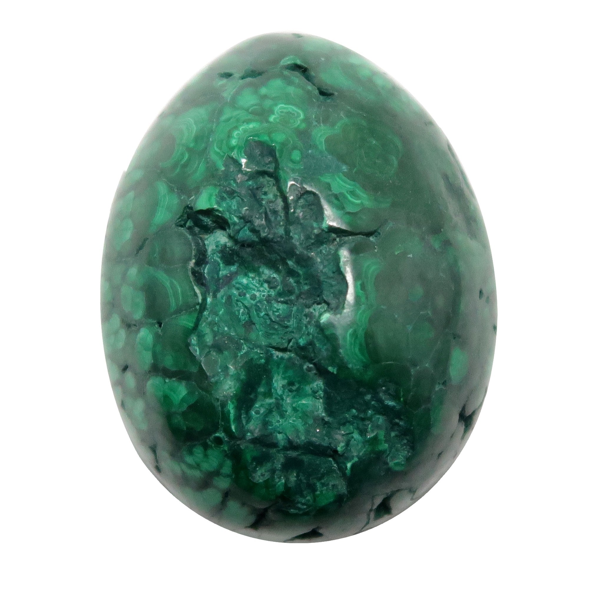 Malachite Egg My Vivid Green Garden of Life Spring Crystal