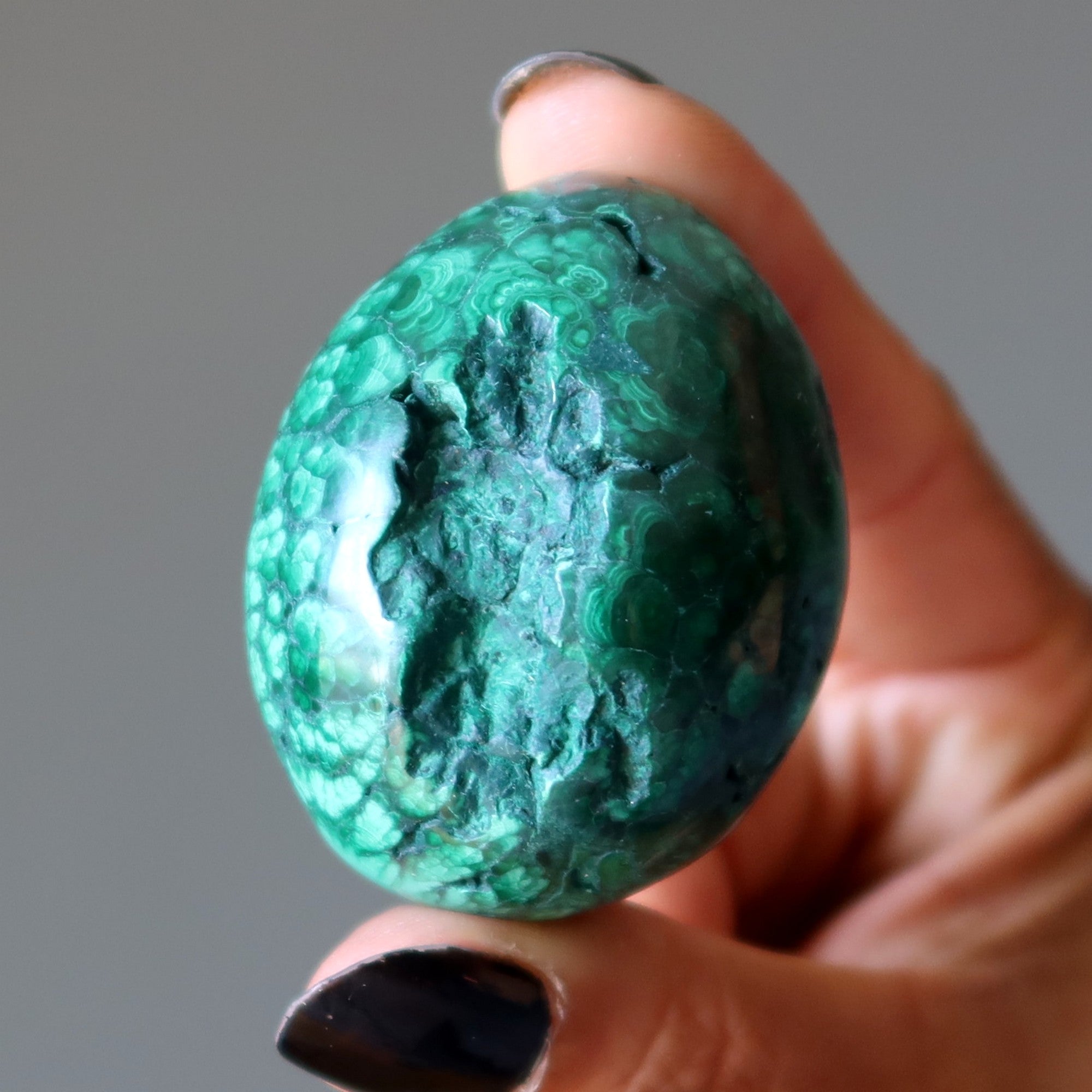 Malachite Egg My Vivid Green Garden of Life Spring Crystal