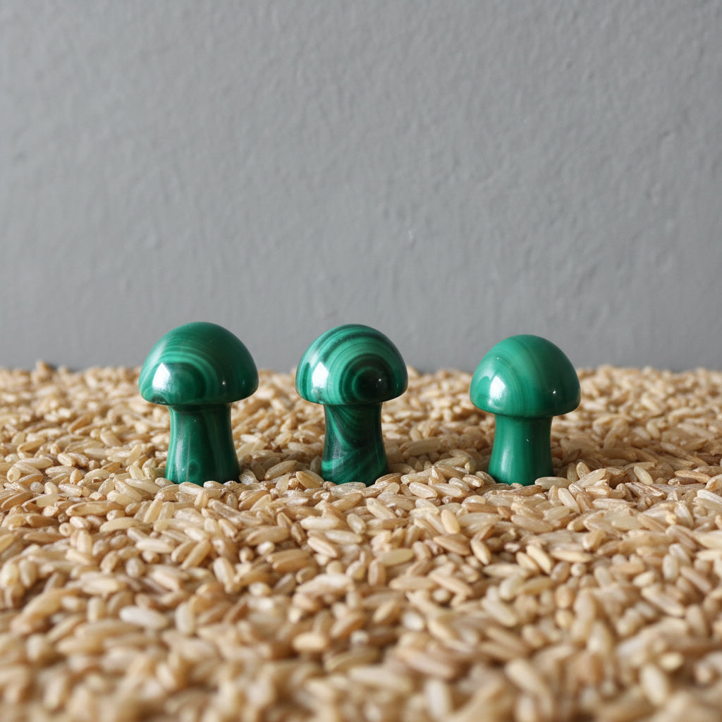 Malachite Mushroom Magic Rich Green Forest Crystal