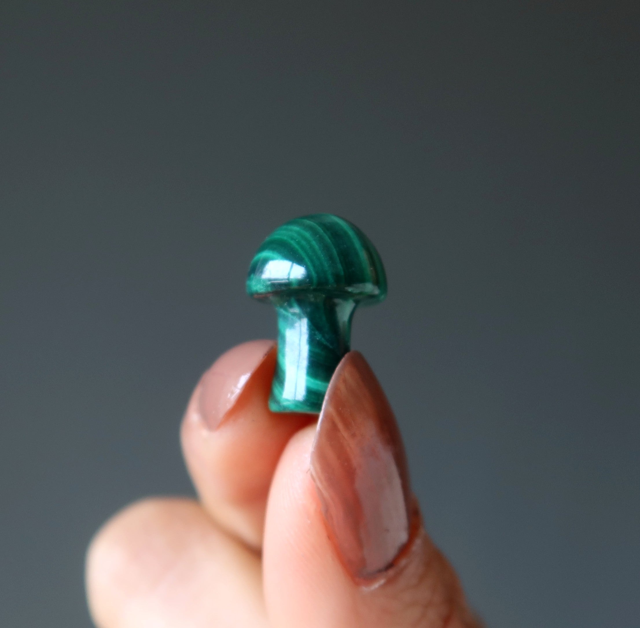 Malachite Mushroom Magic Rich Green Forest Crystal