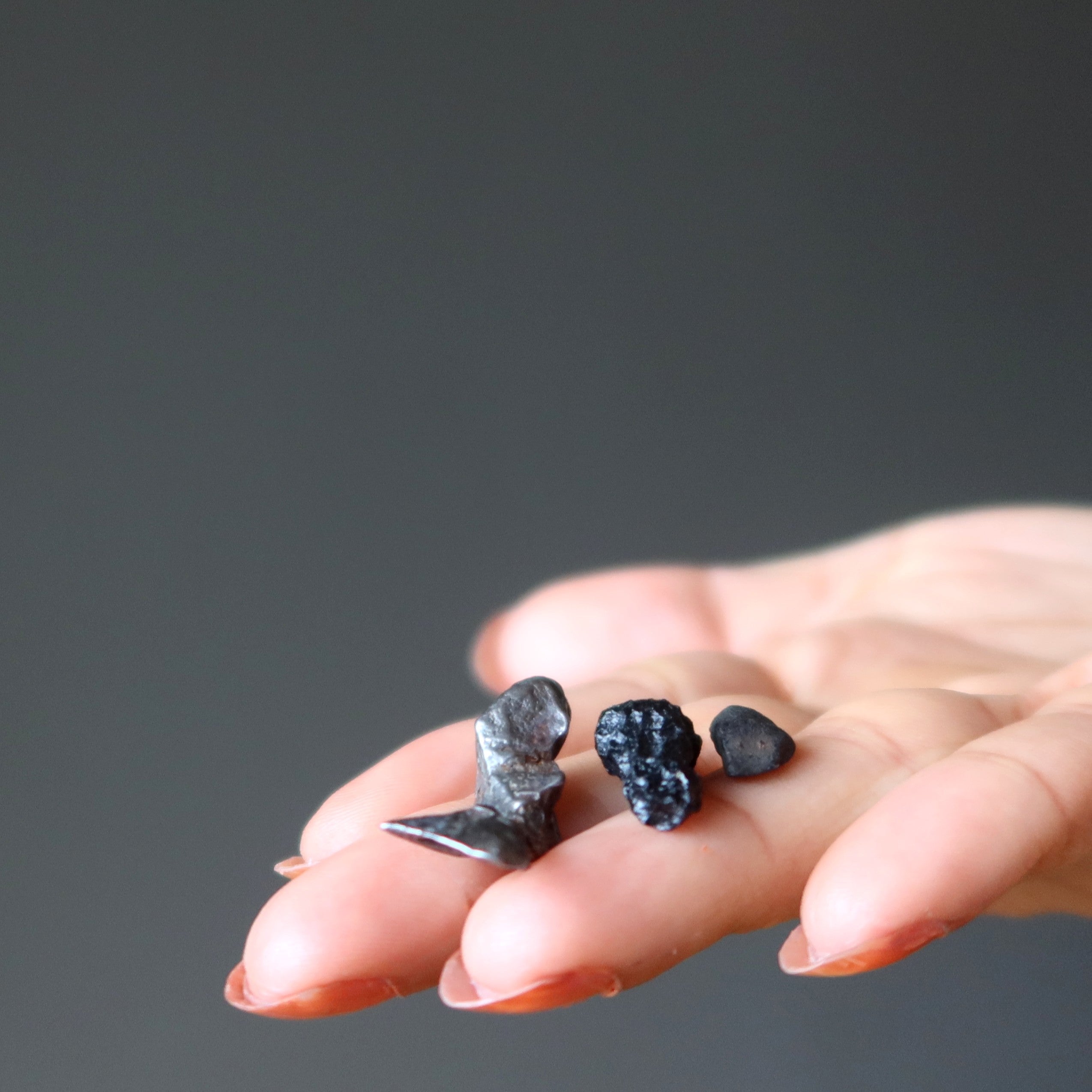 Meteorite Set Black Tektite Agoudal Chelyabinsk Gifts