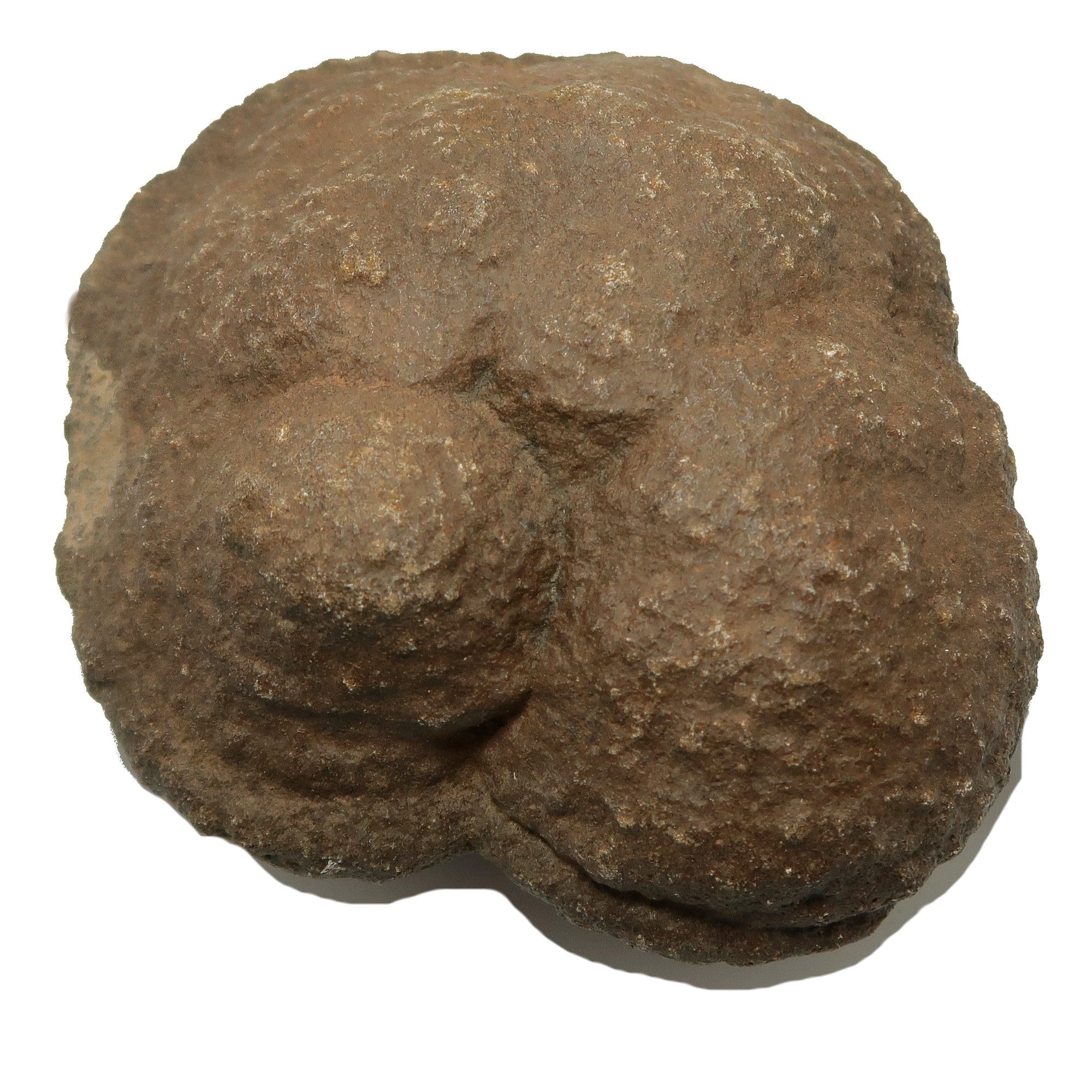 Moqui Marbles, Cluster, Reichtumsstein