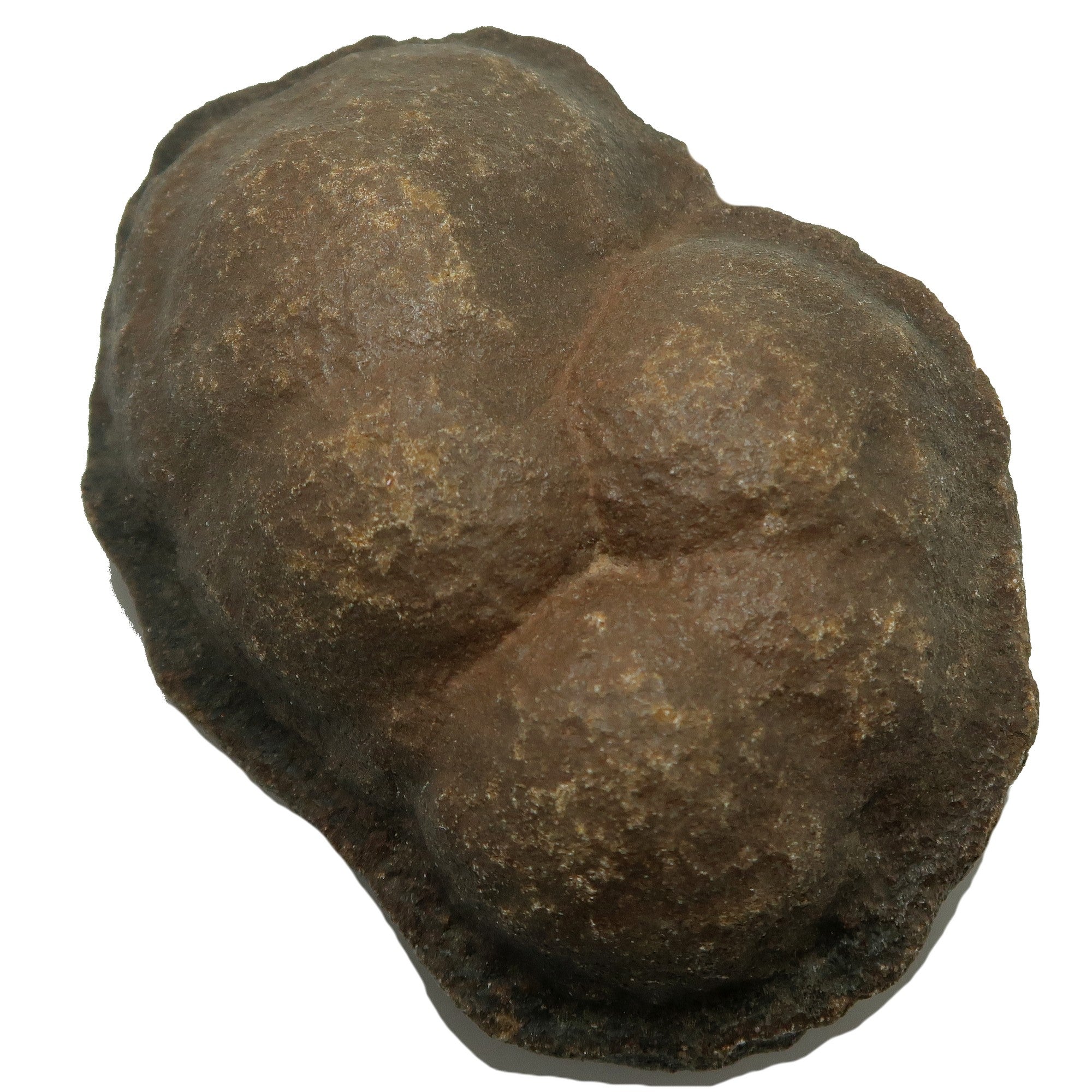 Moqui Marbles, Cluster, Reichtumsstein