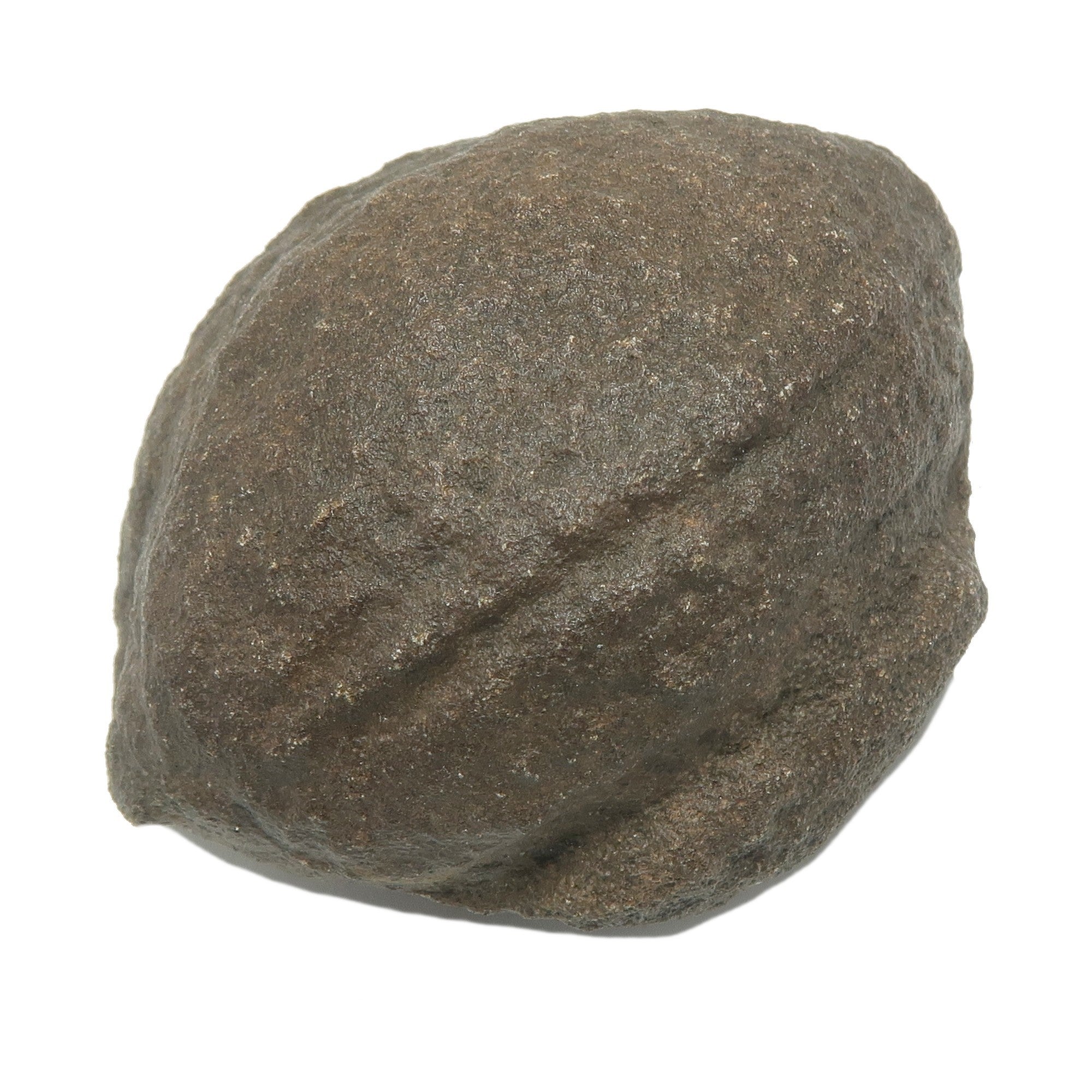 Moqui Marble Wise Walnut Protector Shaman Stone