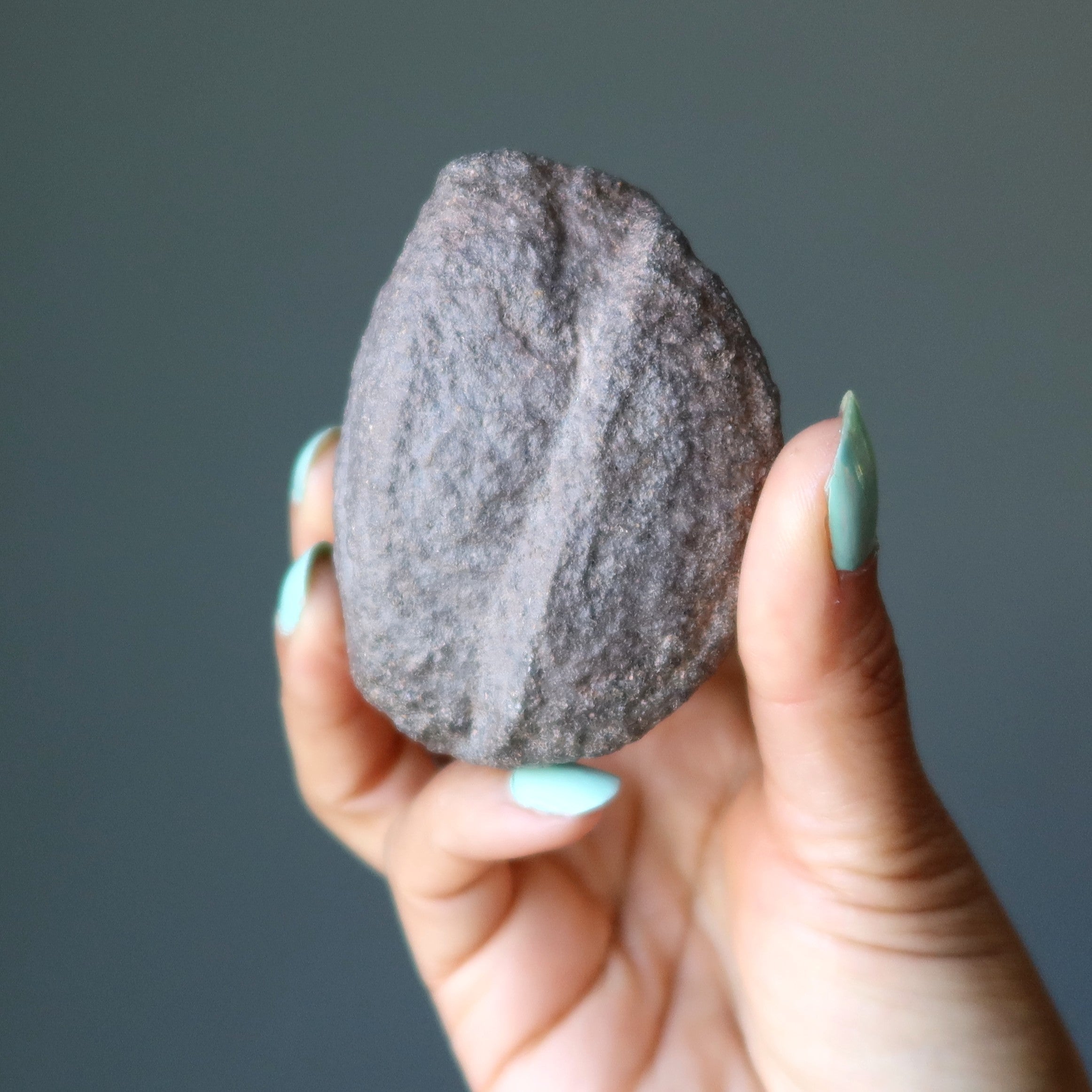 Moqui Marble Wise Walnut Protector Shaman Stone