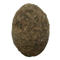 Moqui Marble Specialty Shape Shaman Stone Rare Egg or Paw