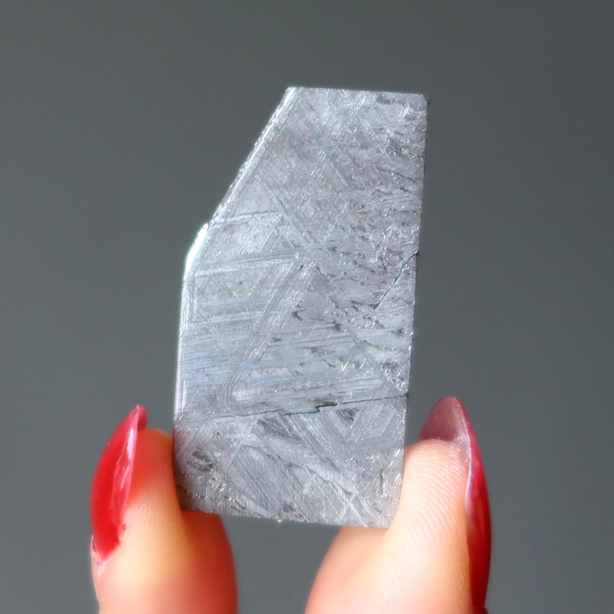Muonionalusta Meteorit Silber Eisen Alien-Kunst-Scheibe