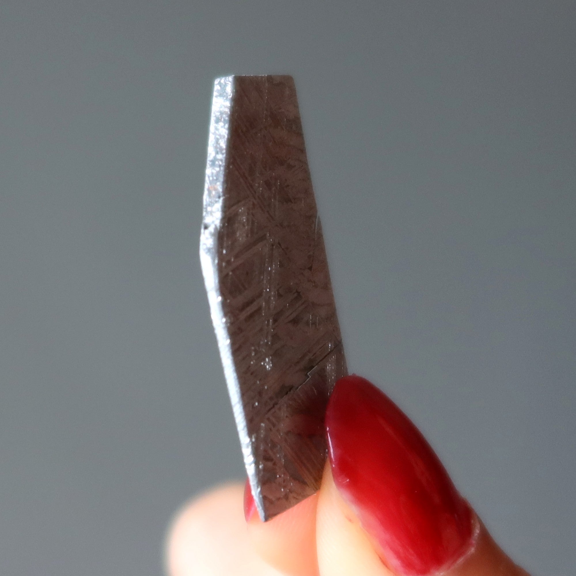 Muonionalusta Meteorit Silber Eisen Alien-Kunst-Scheibe