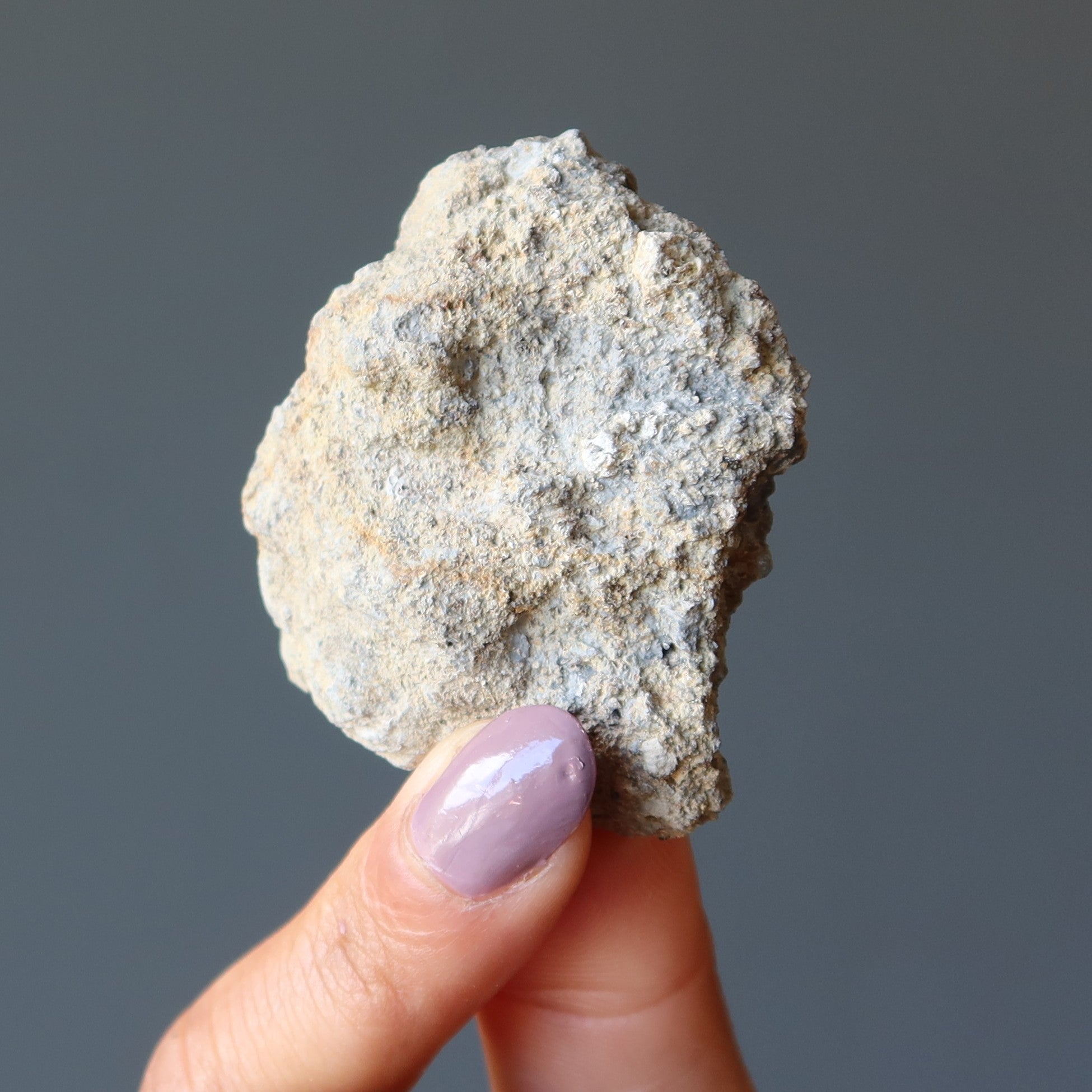 Nordlinger Ries Crater Impactite Slice of Space