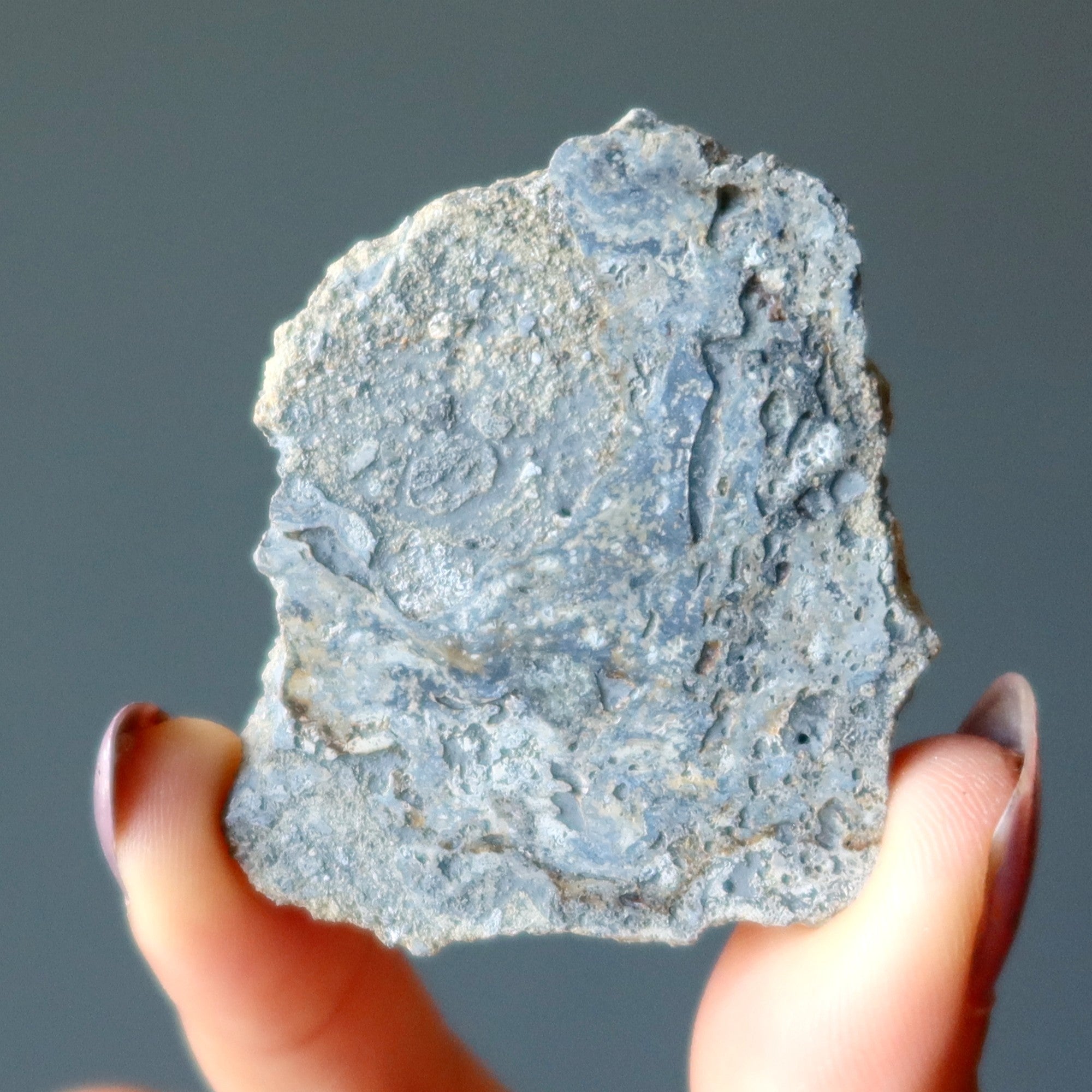 Nordlinger Ries Crater Impactite Slice of Space
